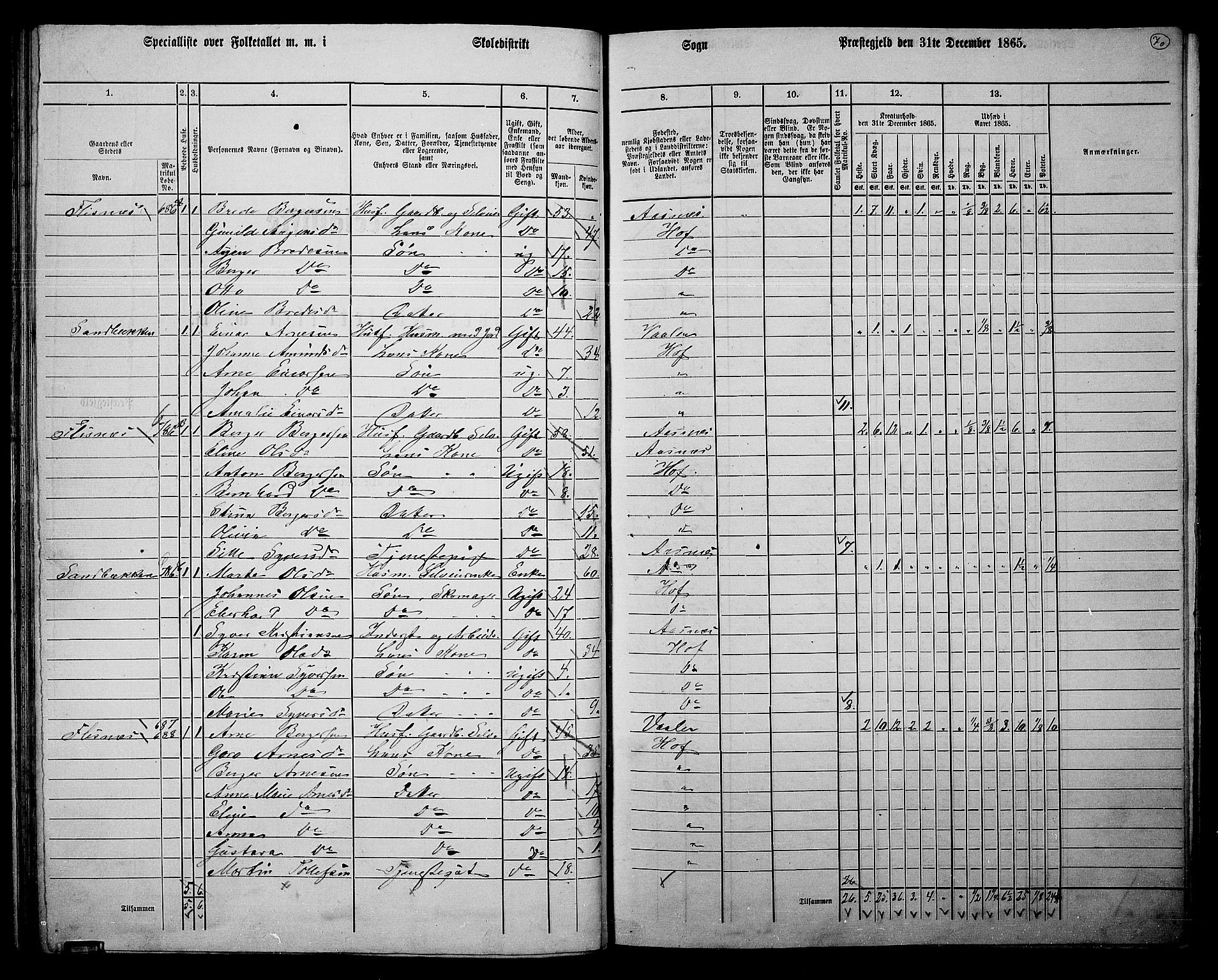 RA, 1865 census for Hof, 1865, p. 66