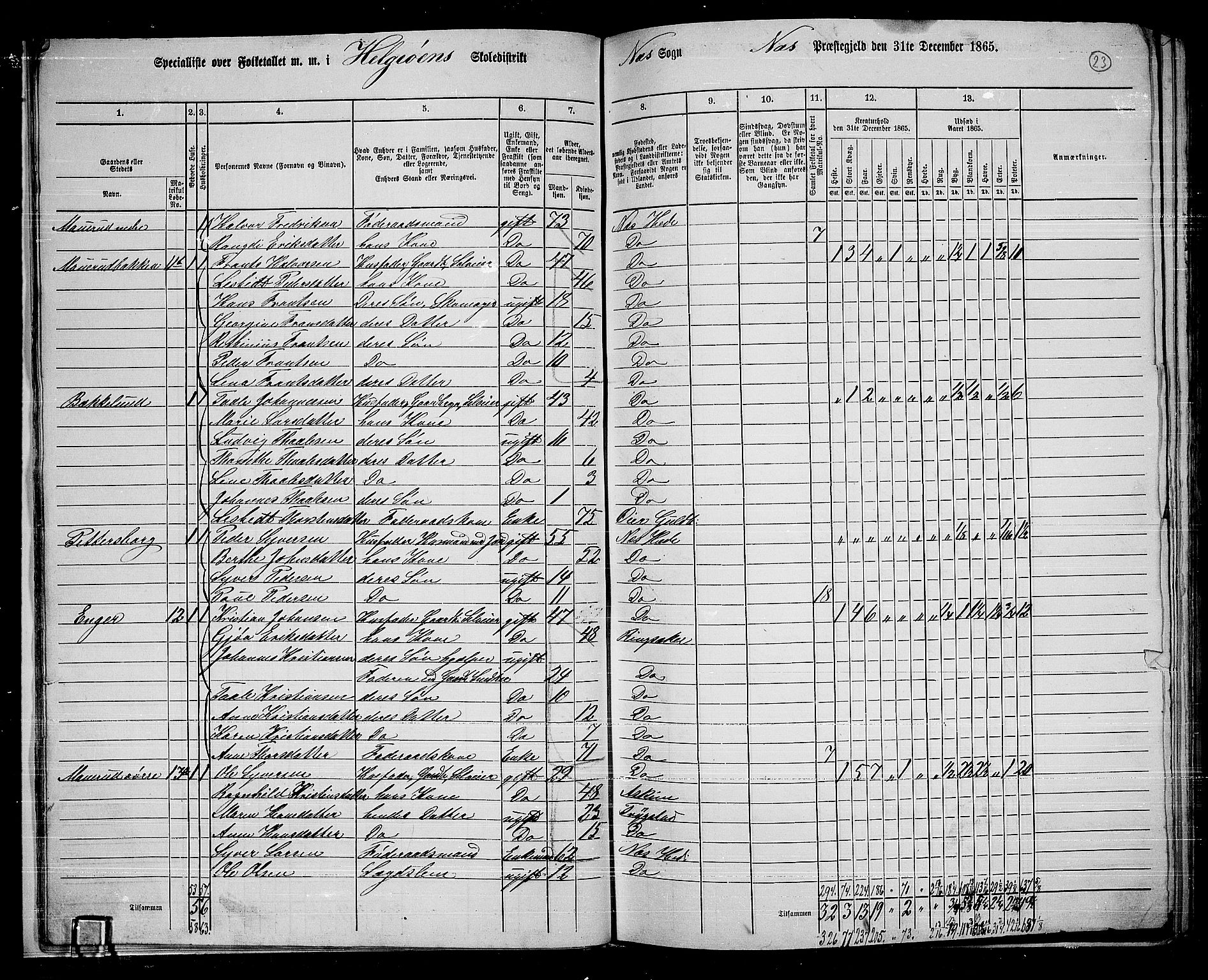 RA, 1865 census for Nes, 1865, p. 21