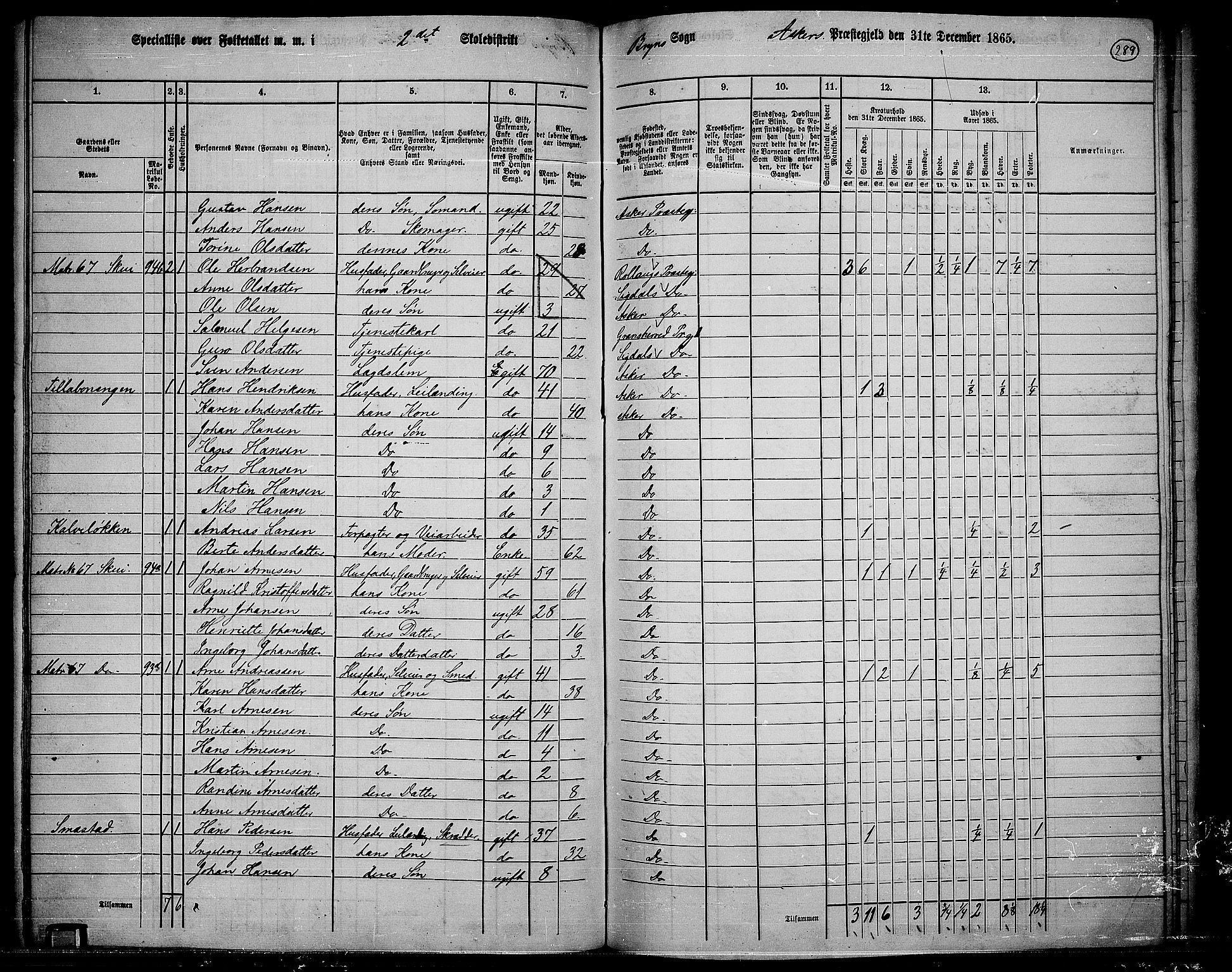 RA, 1865 census for Asker, 1865, p. 278