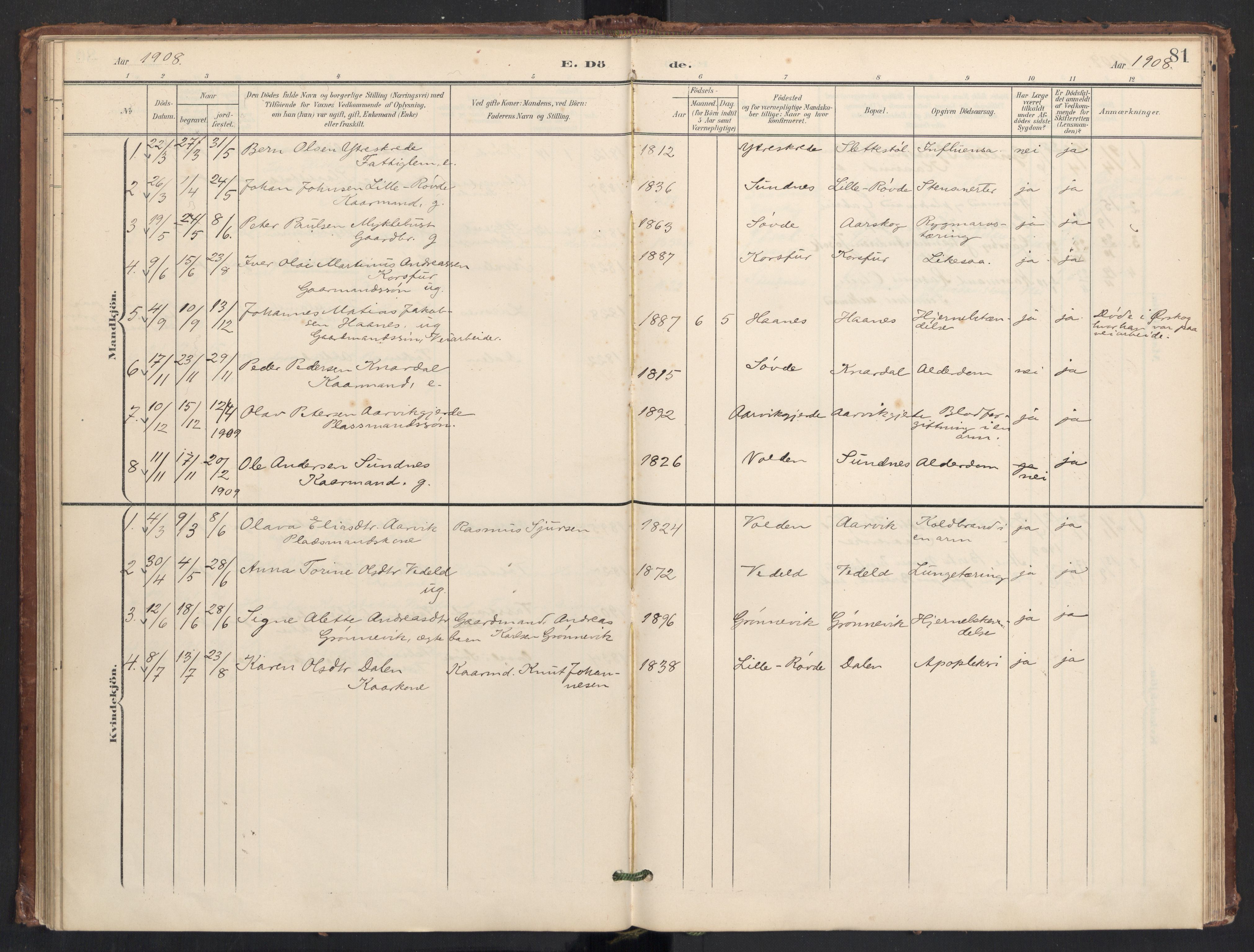 Ministerialprotokoller, klokkerbøker og fødselsregistre - Møre og Romsdal, AV/SAT-A-1454/504/L0057: Parish register (official) no. 504A04, 1902-1919, p. 81