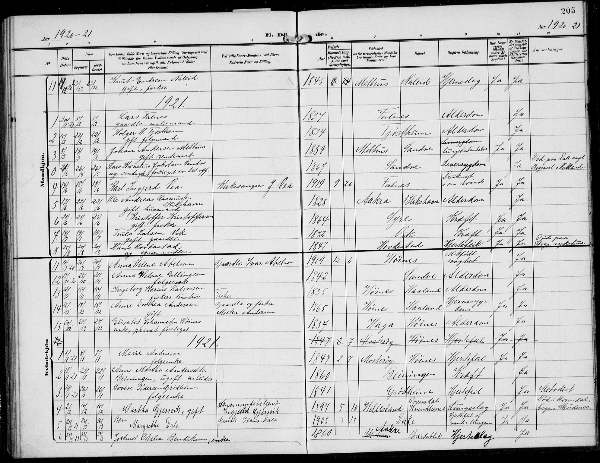 Skudenes sokneprestkontor, SAST/A -101849/H/Ha/Hab/L0009: Parish register (copy) no. B 9, 1908-1936, p. 205