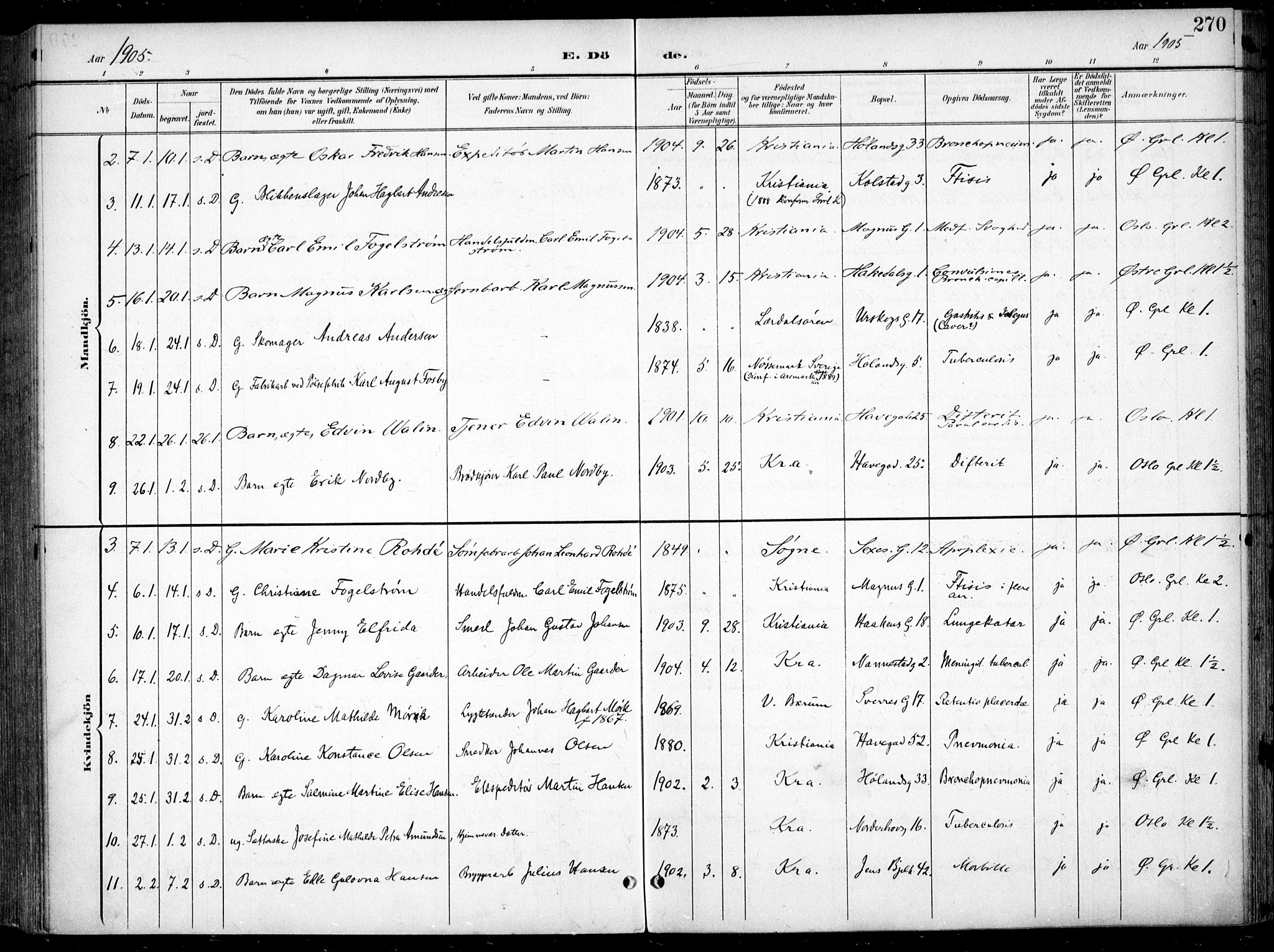 Kampen prestekontor Kirkebøker, SAO/A-10853/F/Fa/L0009: Parish register (official) no. I 9, 1899-1911, p. 270