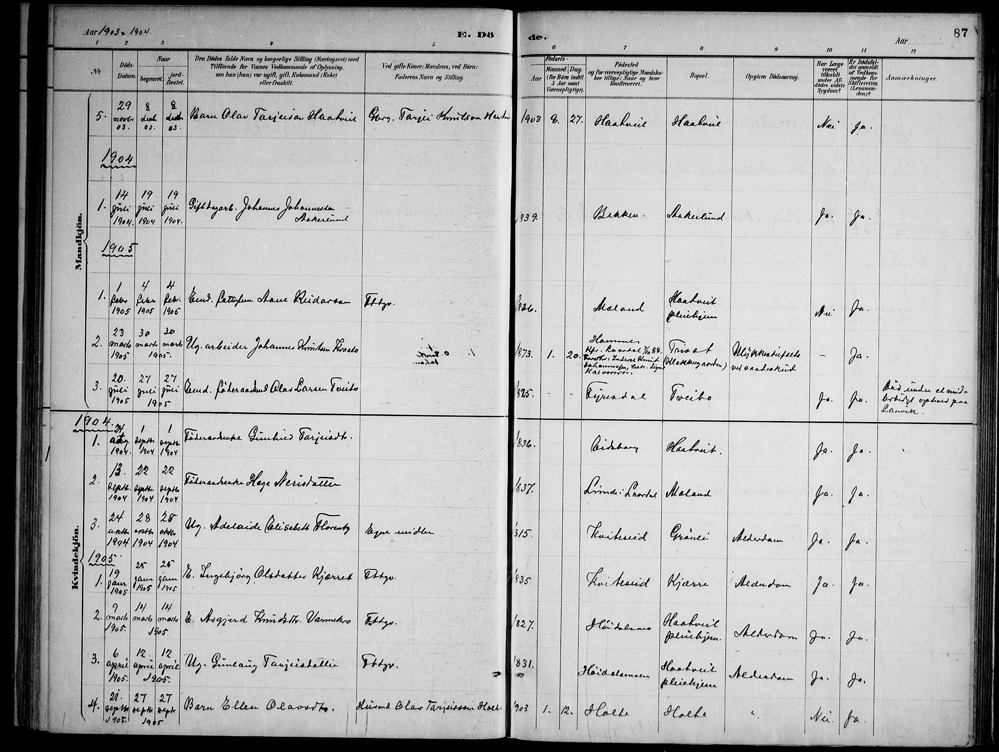 Lårdal kirkebøker, SAKO/A-284/F/Fa/L0007: Parish register (official) no. I 7, 1887-1906, p. 87
