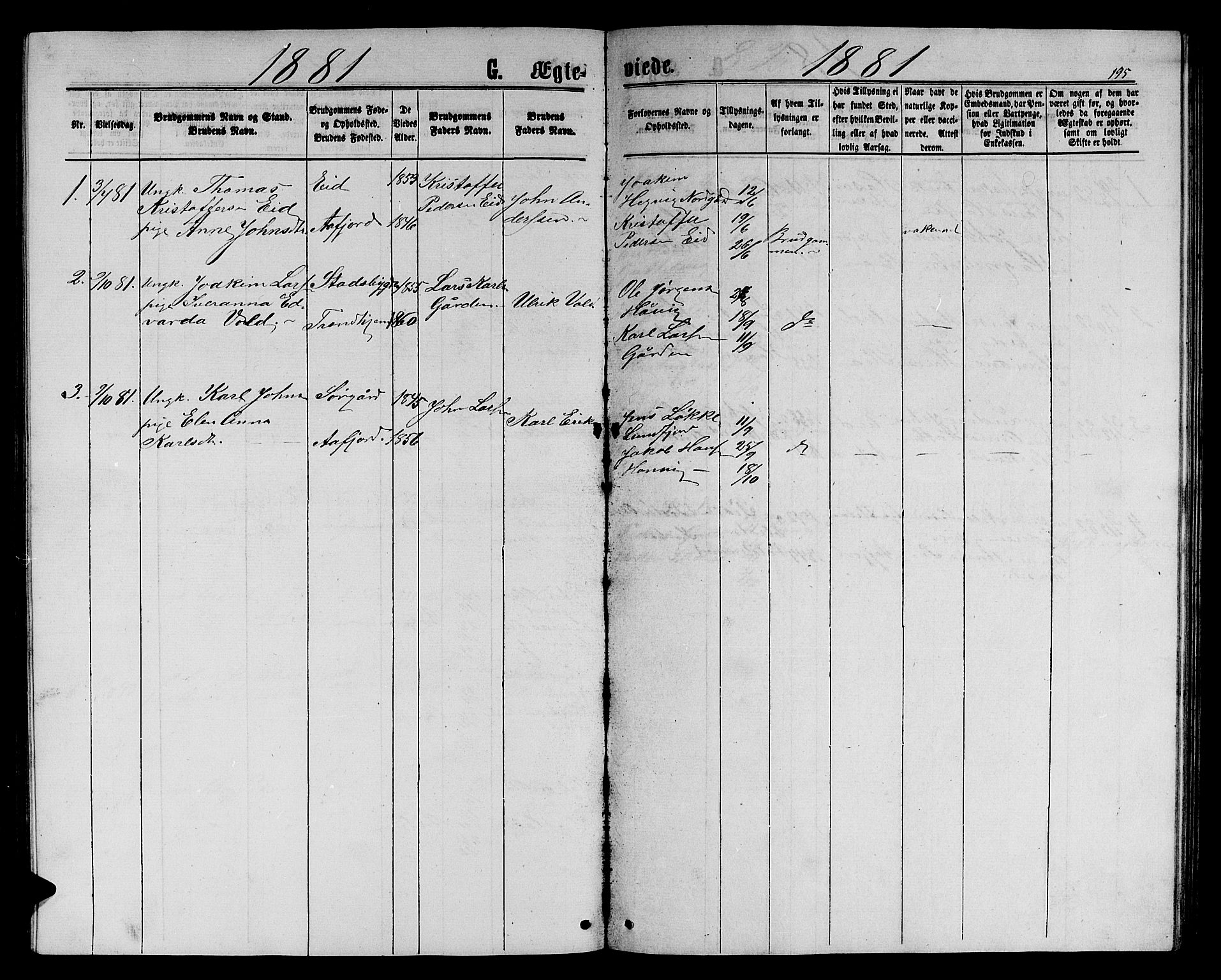 Ministerialprotokoller, klokkerbøker og fødselsregistre - Sør-Trøndelag, SAT/A-1456/656/L0695: Parish register (copy) no. 656C01, 1867-1889, p. 195
