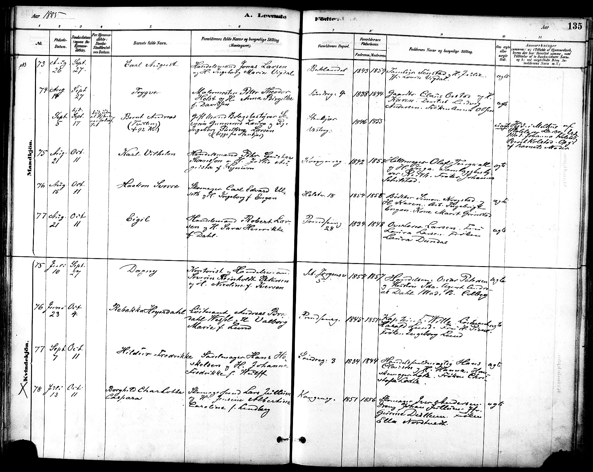 Ministerialprotokoller, klokkerbøker og fødselsregistre - Sør-Trøndelag, AV/SAT-A-1456/601/L0057: Parish register (official) no. 601A25, 1877-1891, p. 135