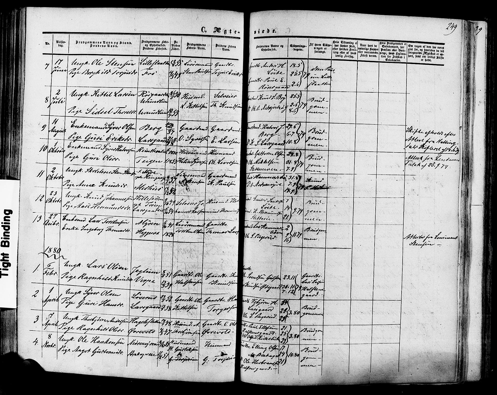 Hol kirkebøker, SAKO/A-227/F/Fa/L0002: Parish register (official) no. I 2, 1870-1886, p. 249