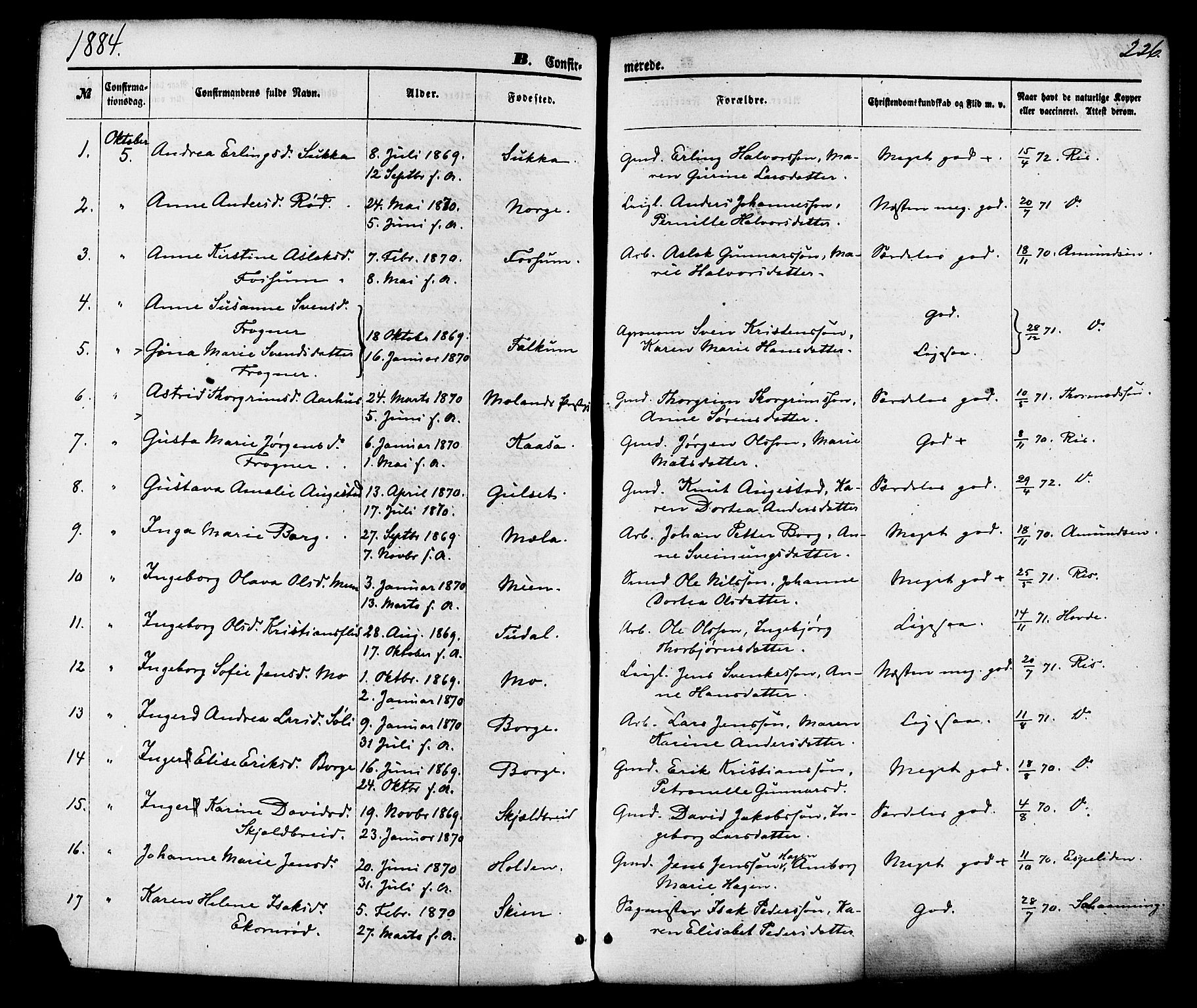 Gjerpen kirkebøker, SAKO/A-265/F/Fa/L0009: Parish register (official) no. I 9, 1872-1885, p. 226