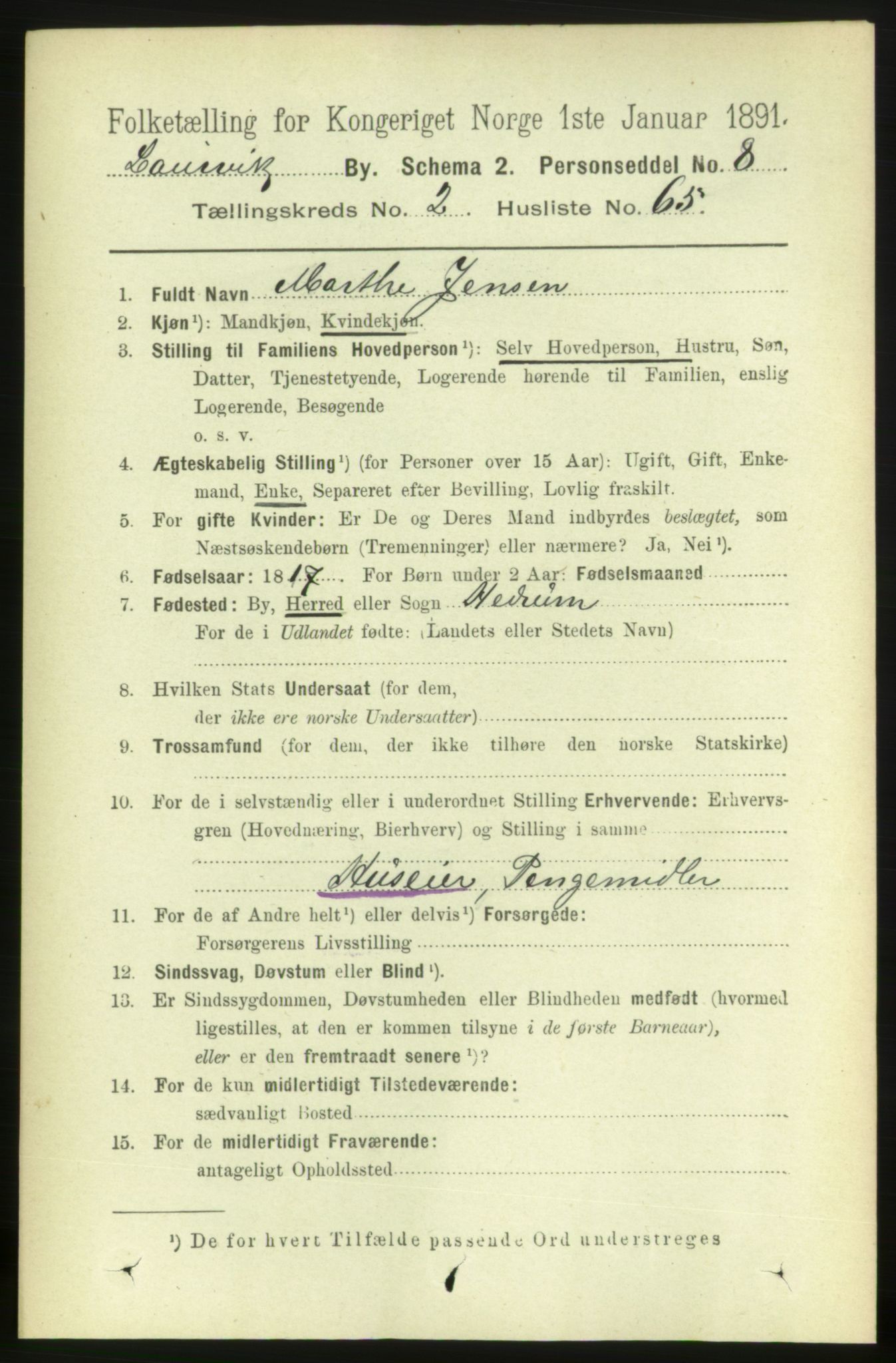 RA, 1891 census for 0707 Larvik, 1891, p. 4051