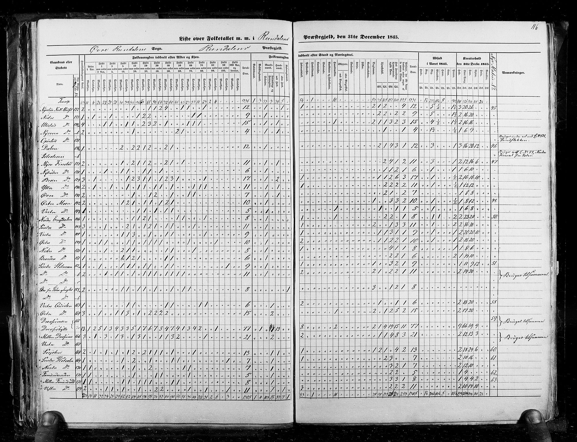 RA, Census 1845, vol. 3: Hedemarken amt og Kristians amt, 1845, p. 116