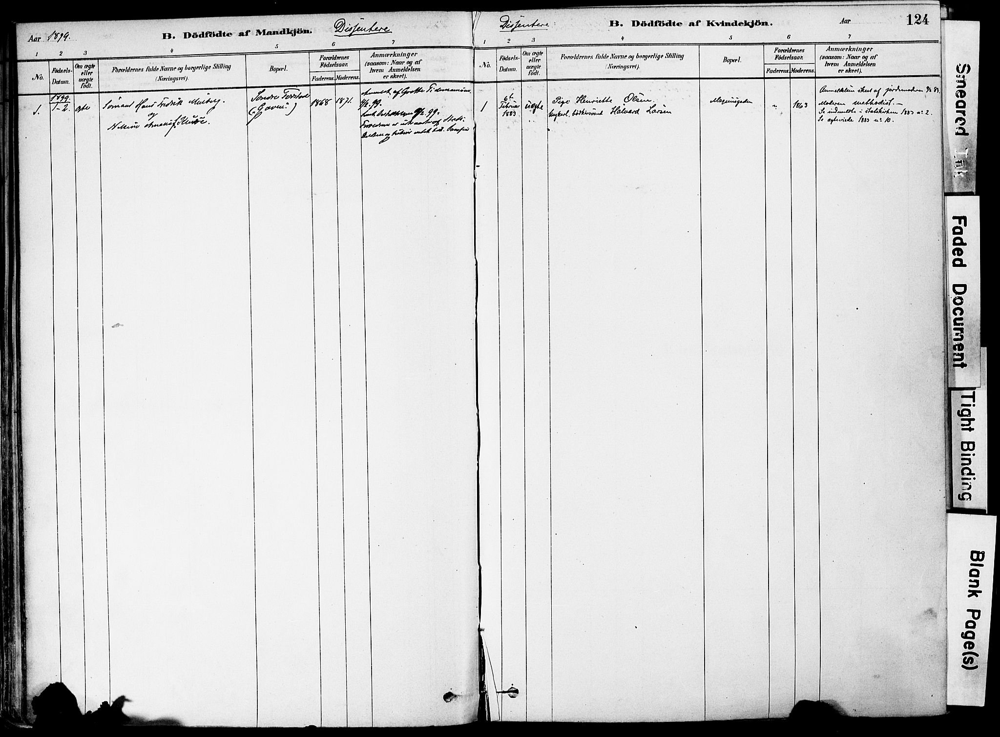 Holmestrand kirkebøker, AV/SAKO-A-346/F/Fa/L0004: Parish register (official) no. 4, 1880-1901, p. 124