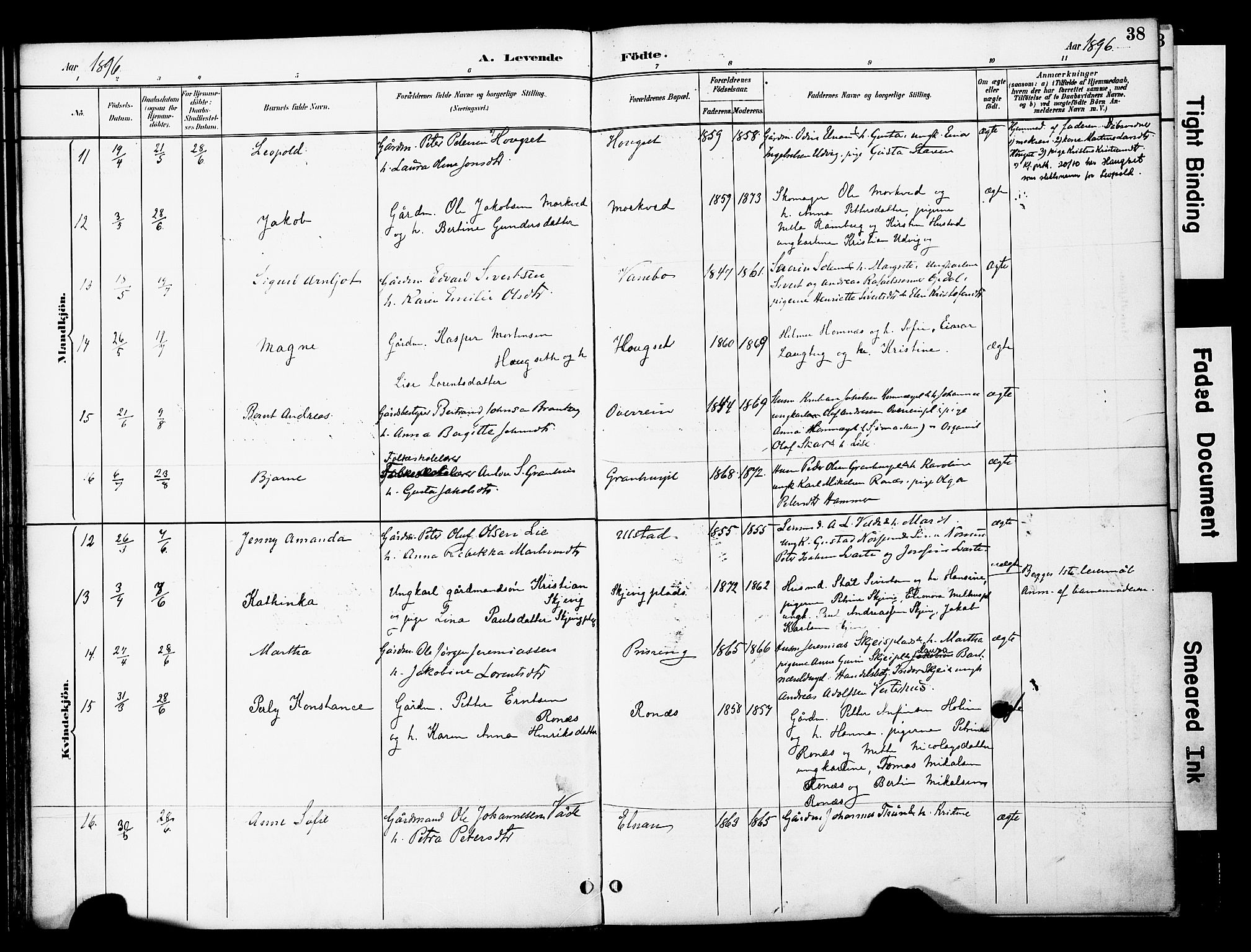 Ministerialprotokoller, klokkerbøker og fødselsregistre - Nord-Trøndelag, SAT/A-1458/741/L0396: Parish register (official) no. 741A10, 1889-1901, p. 38