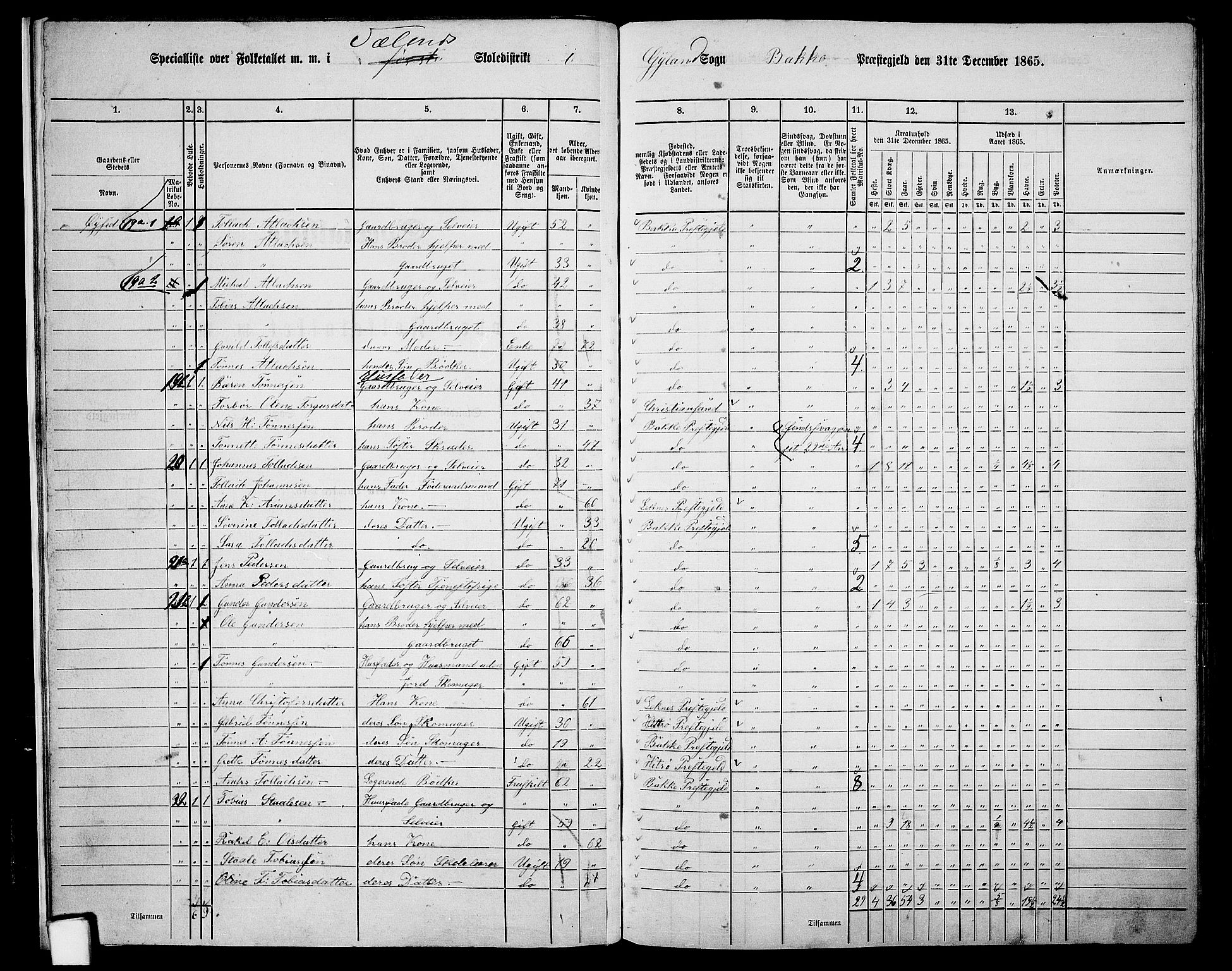 RA, 1865 census for Bakke, 1865, p. 13