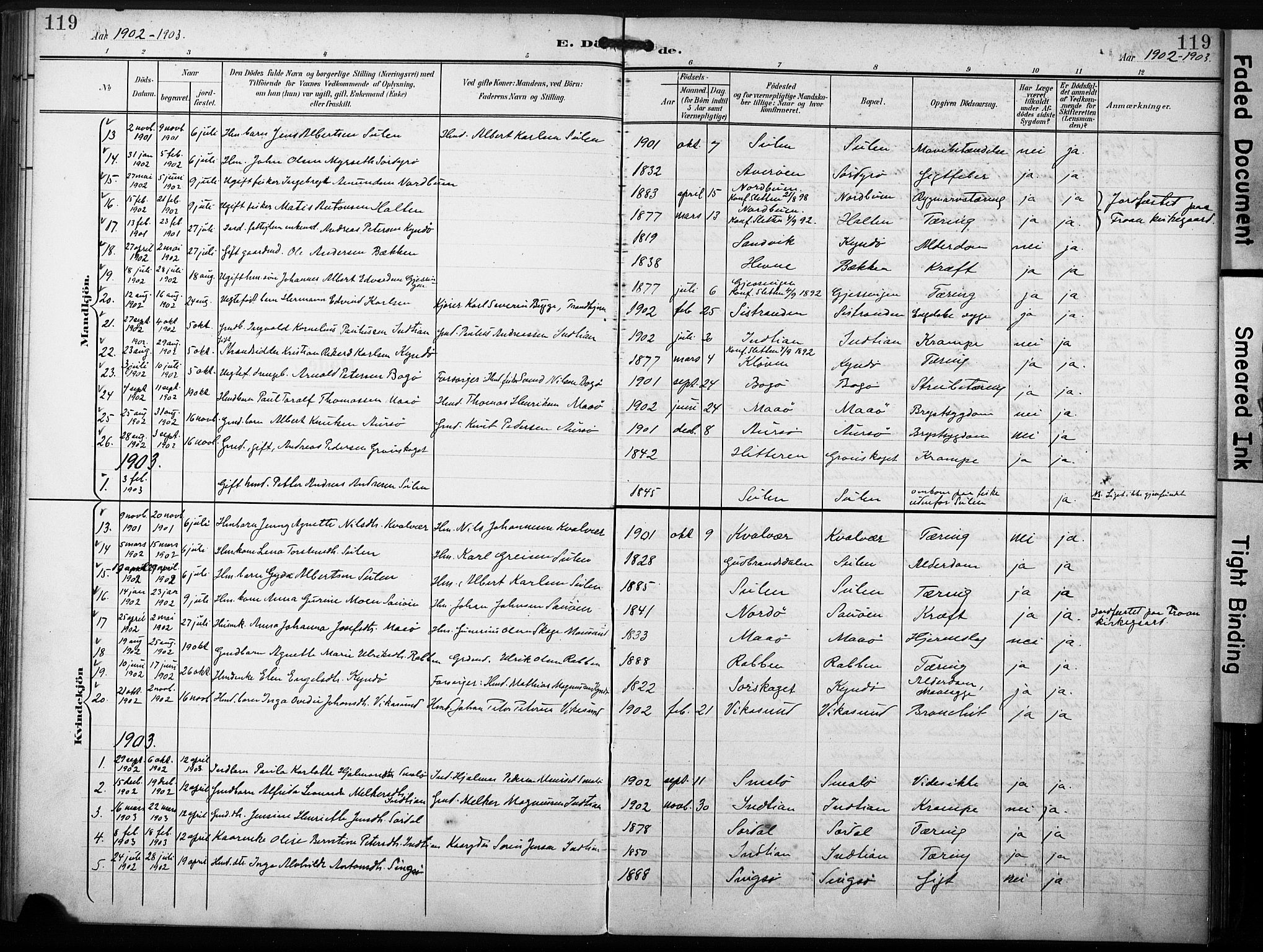 Ministerialprotokoller, klokkerbøker og fødselsregistre - Sør-Trøndelag, SAT/A-1456/640/L0580: Parish register (official) no. 640A05, 1902-1910, p. 119
