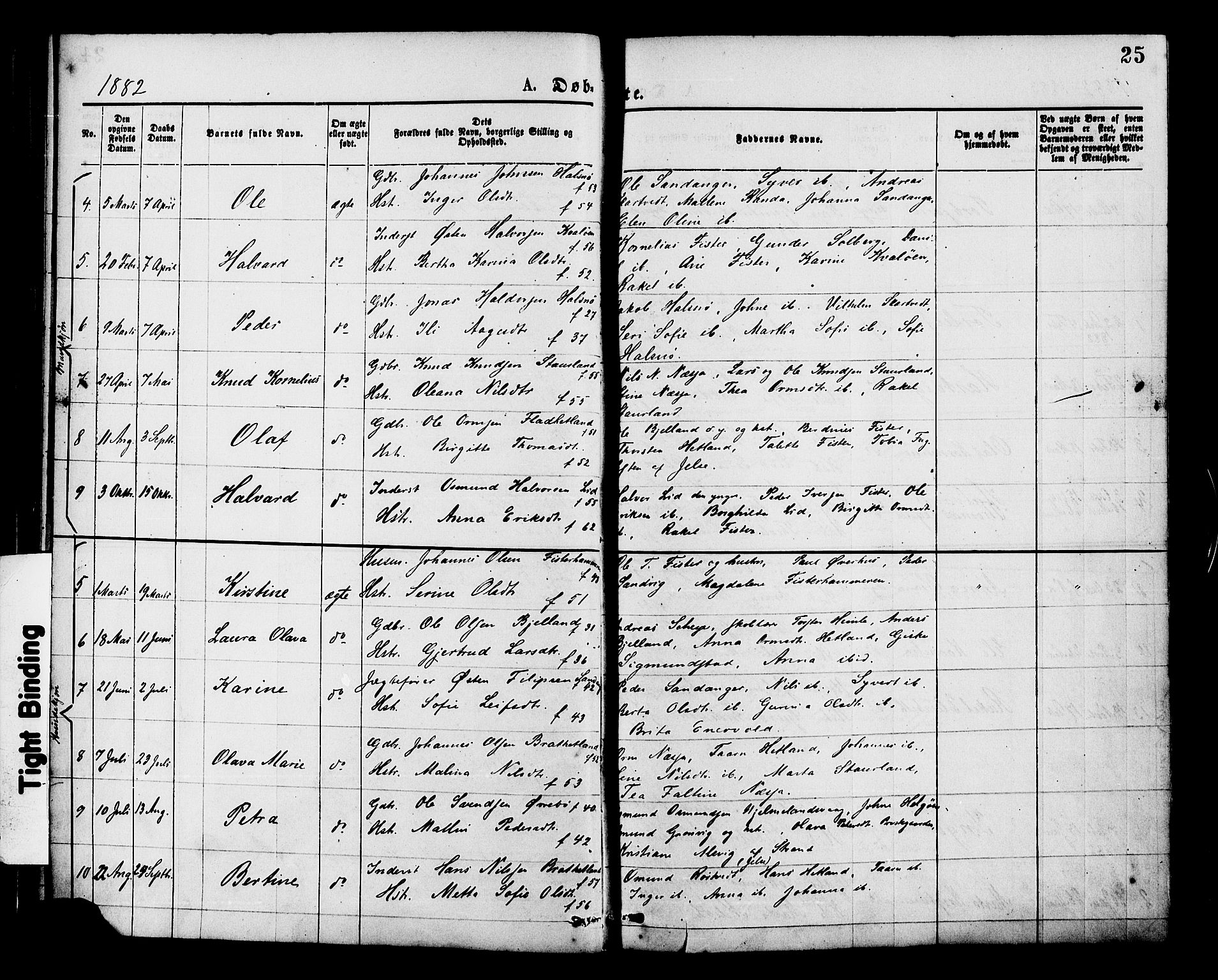 Hjelmeland sokneprestkontor, SAST/A-101843/01/IV/L0013: Parish register (official) no. A 13, 1872-1886, p. 25
