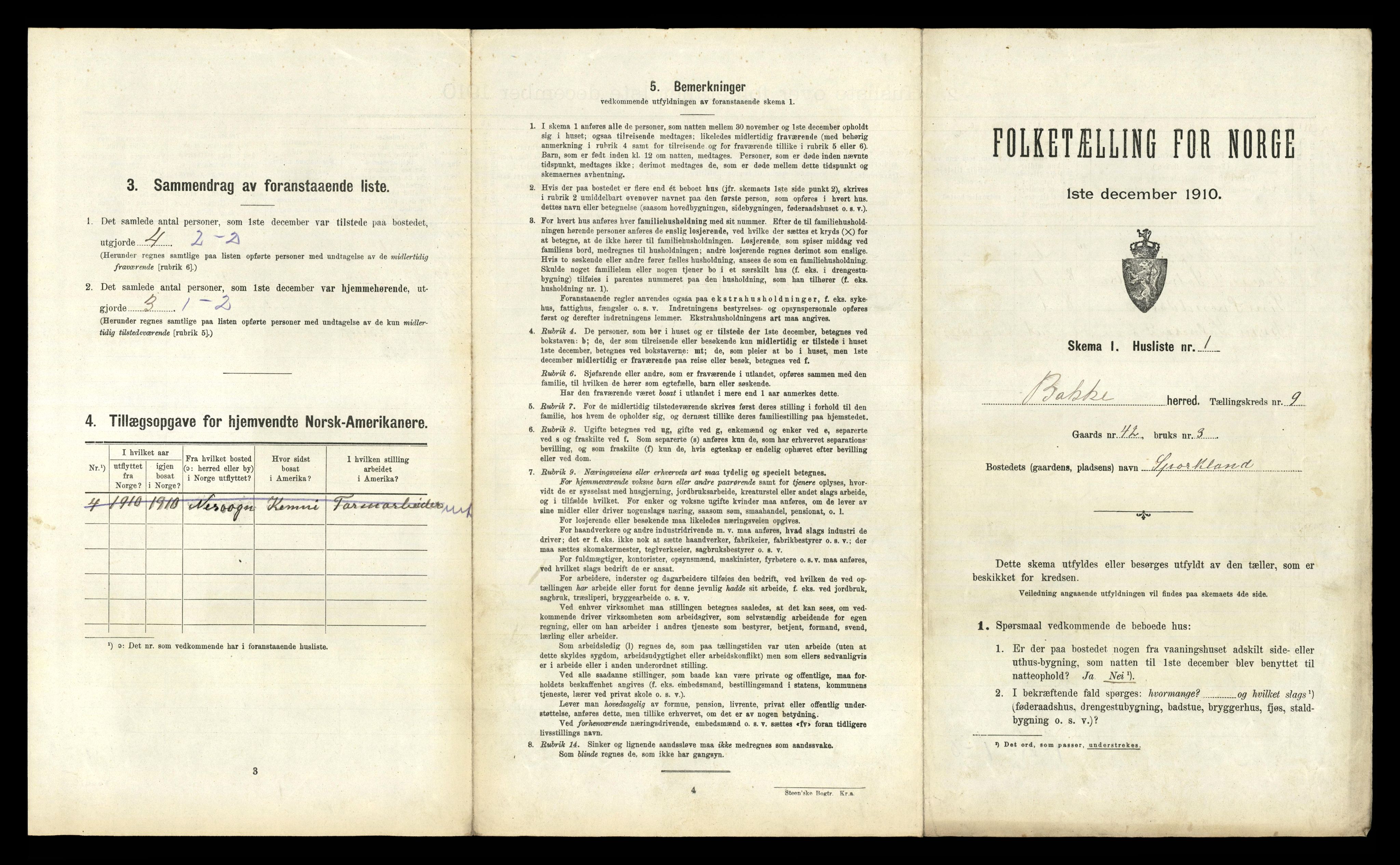 RA, 1910 census for Bakke, 1910, p. 419