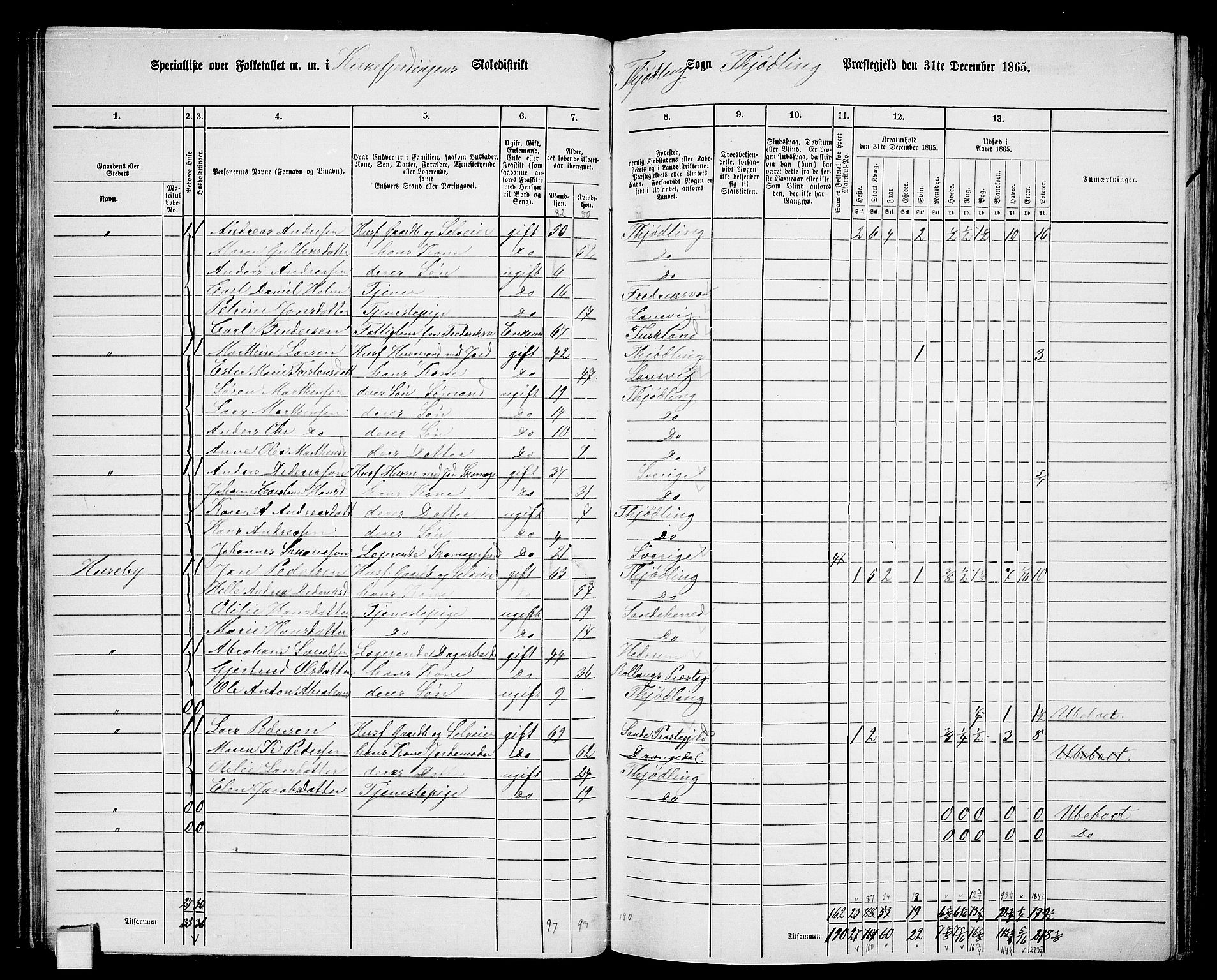 RA, 1865 census for Tjølling, 1865, p. 60