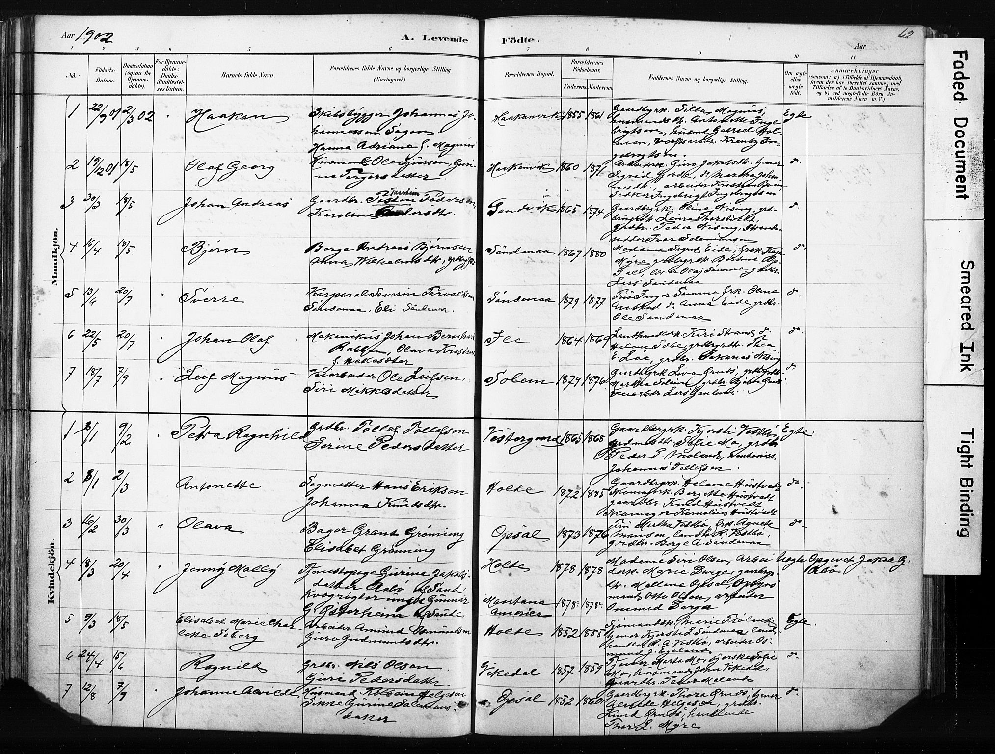 Vikedal sokneprestkontor, AV/SAST-A-101840/01/IV: Parish register (official) no. A 10, 1884-1907, p. 62