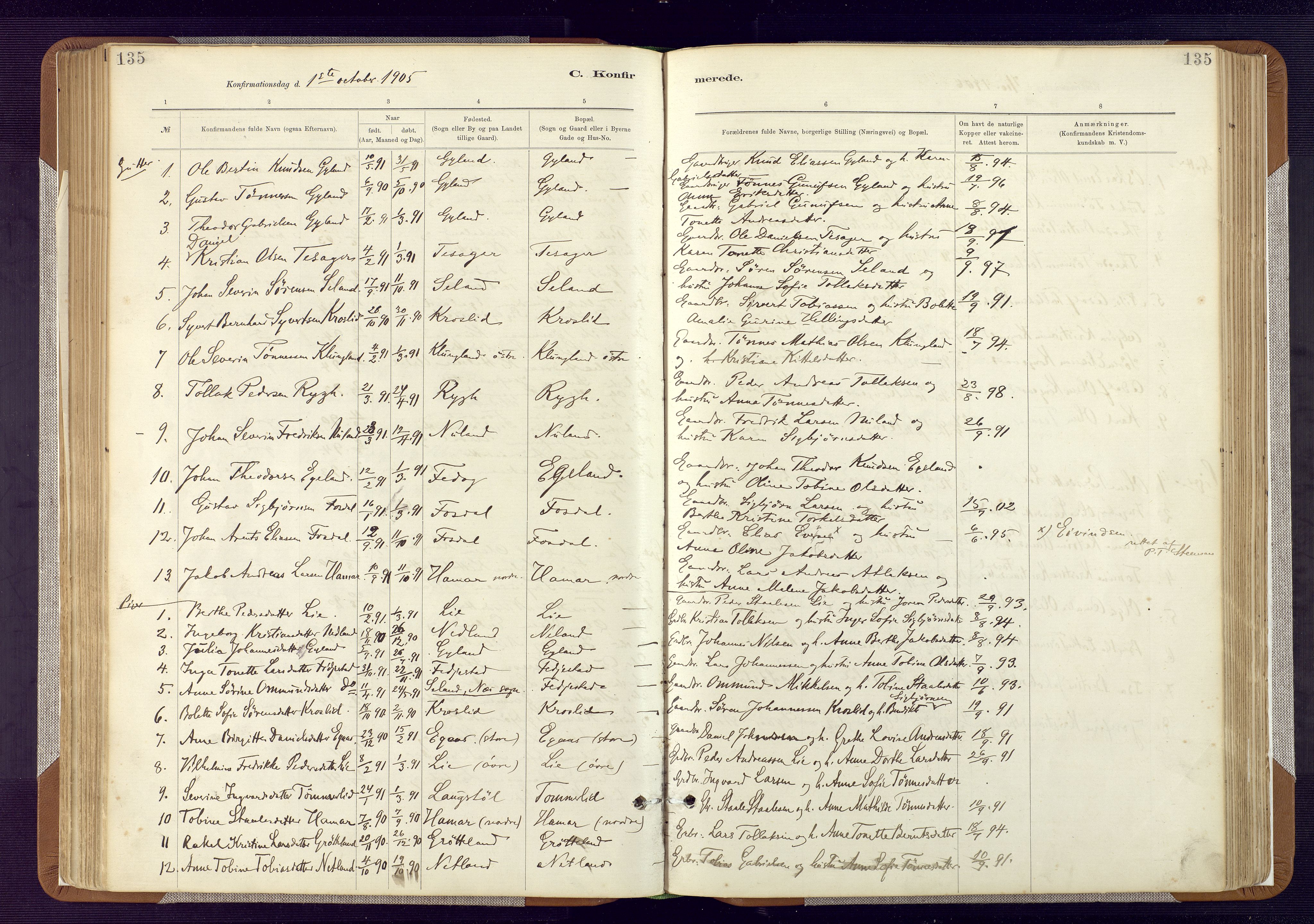 Bakke sokneprestkontor, SAK/1111-0002/F/Fa/Fab/L0003: Parish register (official) no. A 3, 1884-1921, p. 135