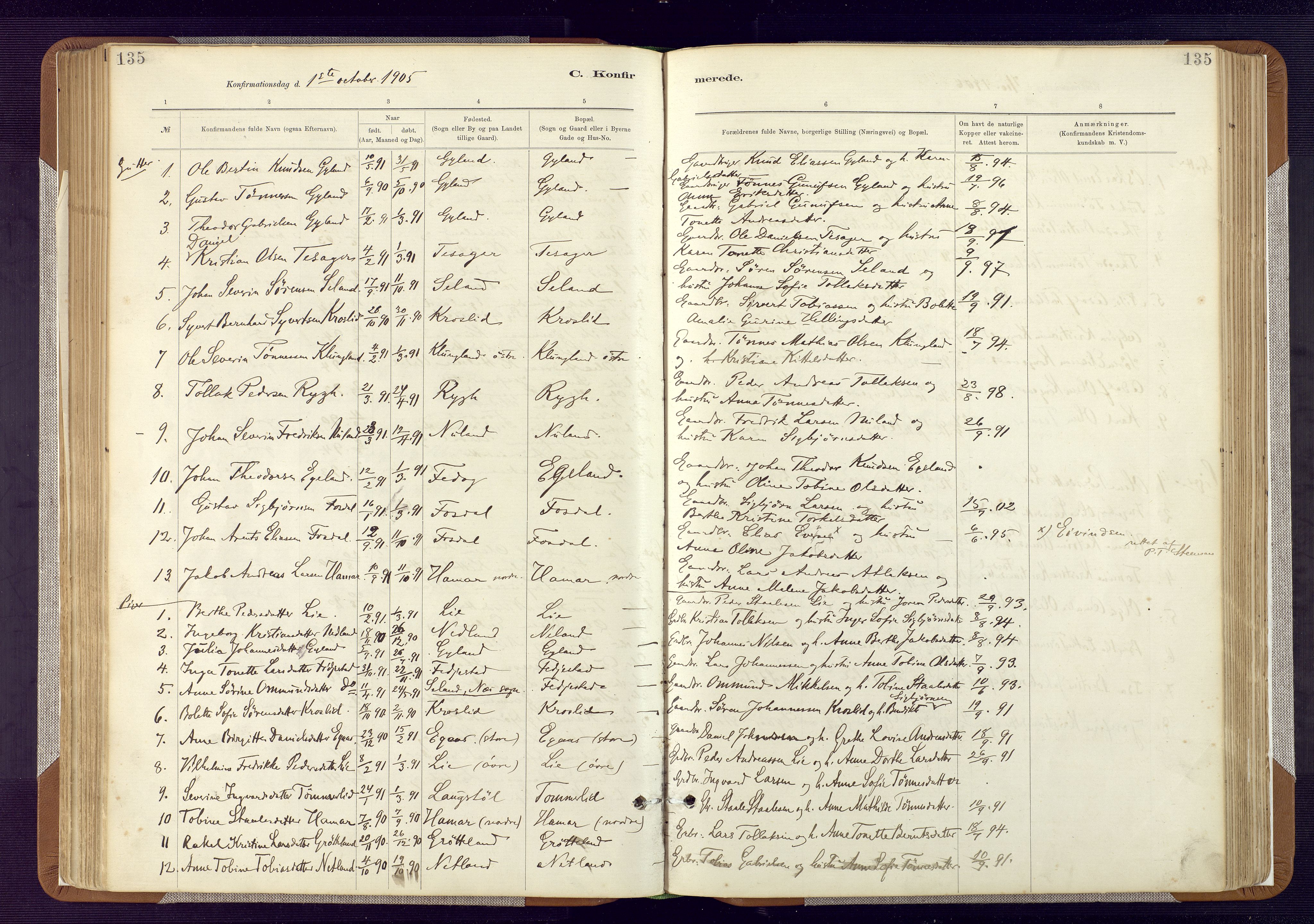 Bakke sokneprestkontor, AV/SAK-1111-0002/F/Fa/Fab/L0003: Parish register (official) no. A 3, 1884-1921, p. 135