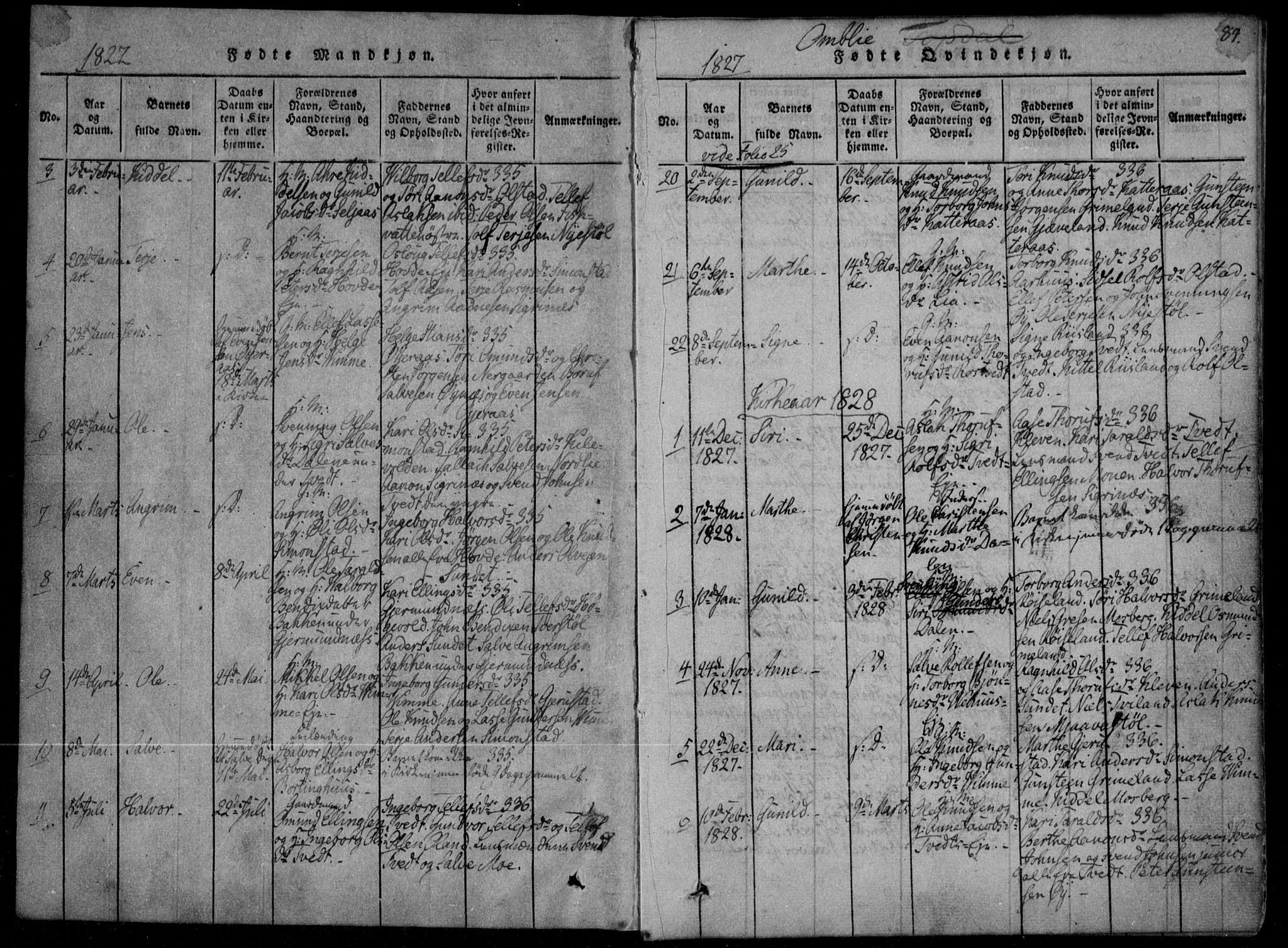 Åmli sokneprestkontor, SAK/1111-0050/F/Fa/Fac/L0006: Parish register (official) no. A 6, 1816-1829, p. 83