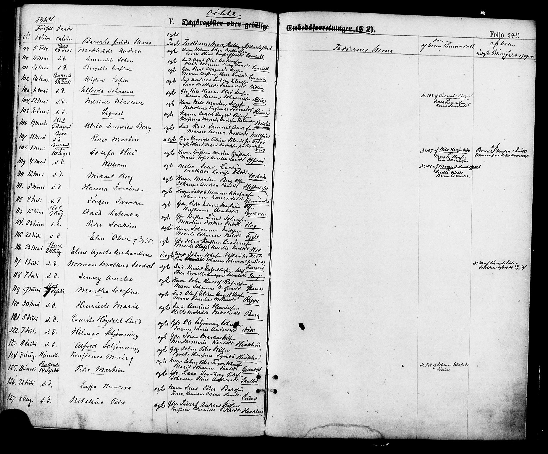 Ministerialprotokoller, klokkerbøker og fødselsregistre - Nordland, AV/SAT-A-1459/881/L1166: Parish register (copy) no. 881C03, 1876-1885, p. 248