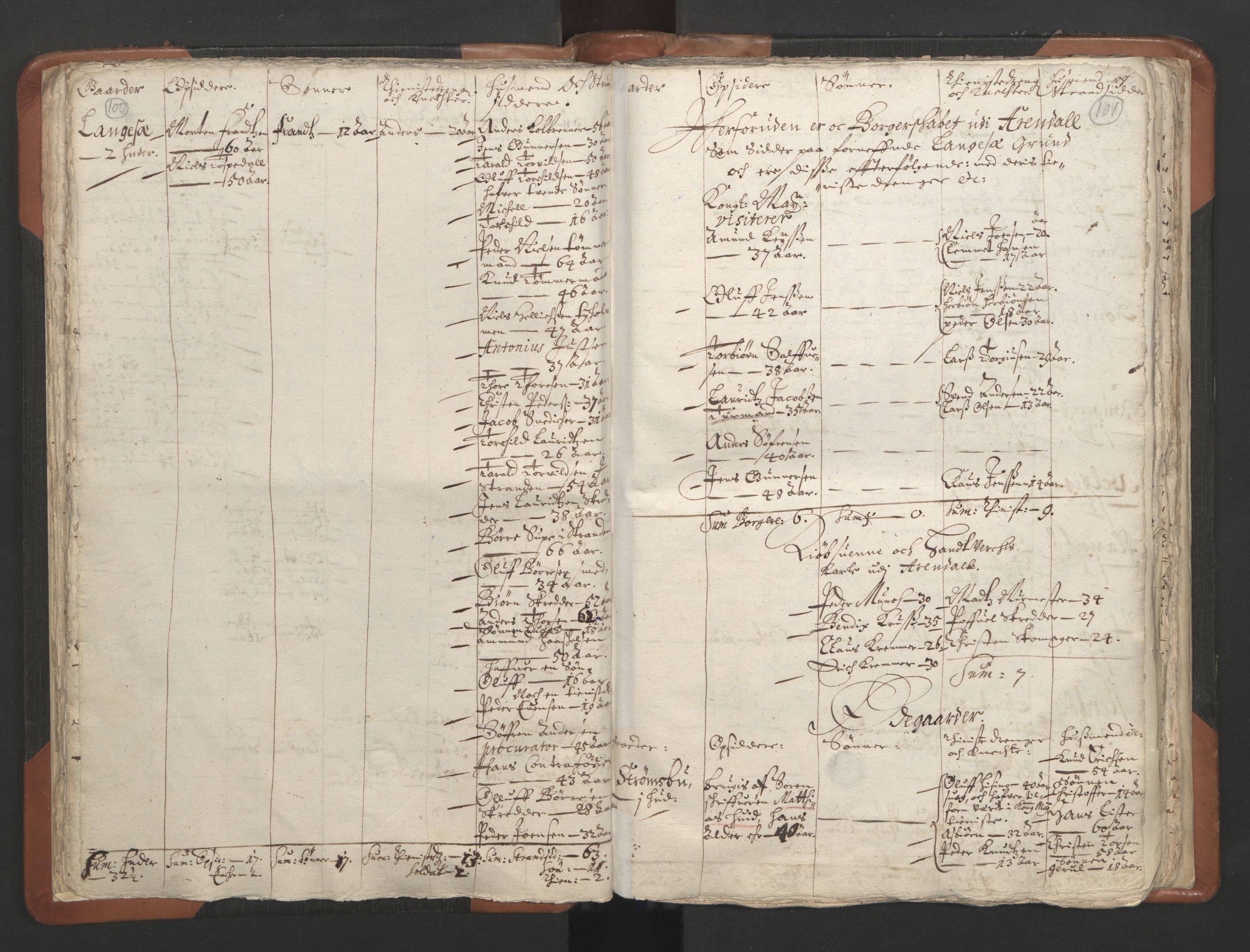 RA, Vicar's Census 1664-1666, no. 13: Nedenes deanery, 1664-1666, p. 100-101