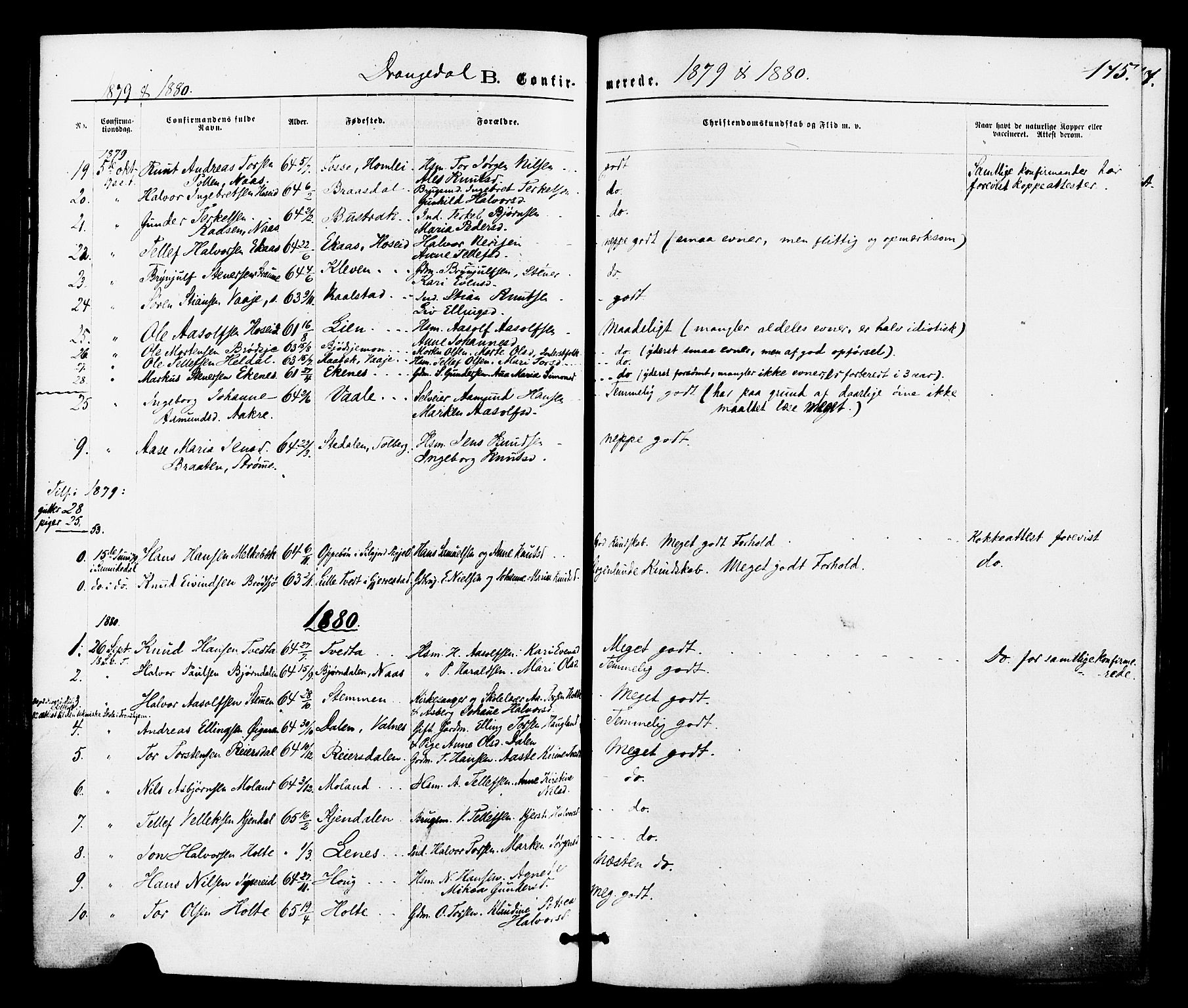 Drangedal kirkebøker, SAKO/A-258/F/Fa/L0009: Parish register (official) no. 9 /1, 1872-1884, p. 175