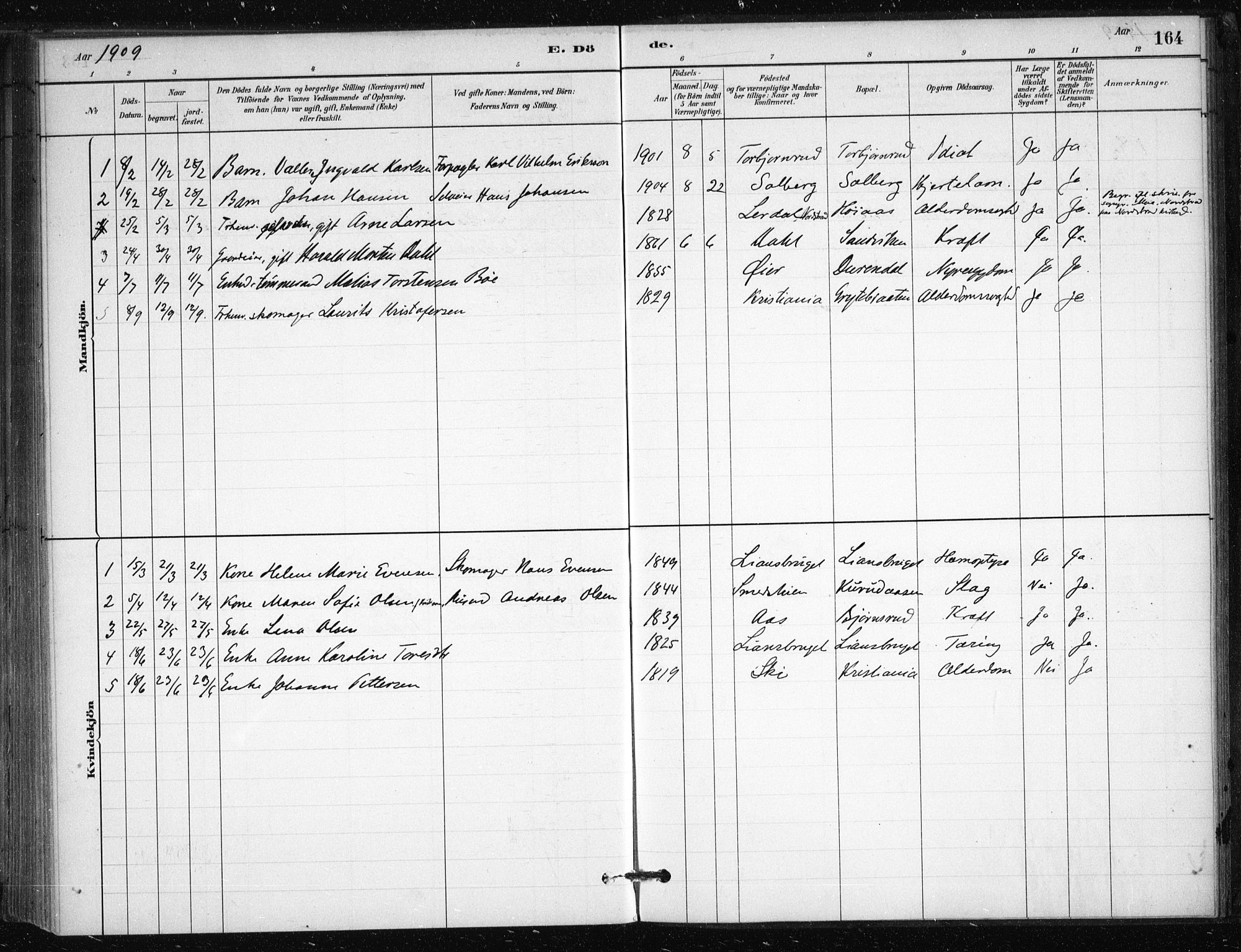 Nesodden prestekontor Kirkebøker, SAO/A-10013/F/Fb/L0001: Parish register (official) no. II 1, 1880-1915, p. 164