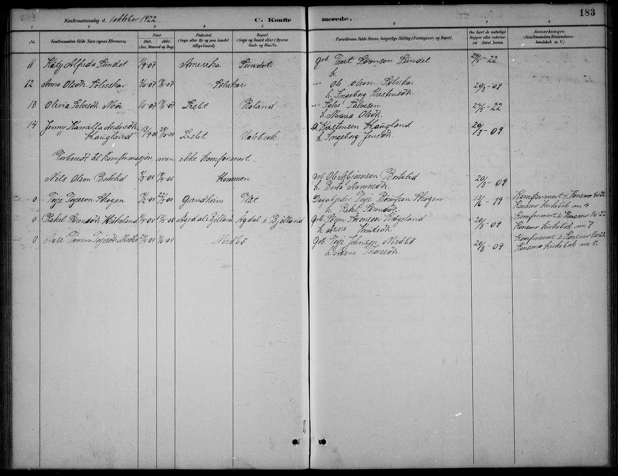 Bjelland sokneprestkontor, AV/SAK-1111-0005/F/Fb/Fba/L0005: Parish register (copy) no. B 5, 1887-1923, p. 183