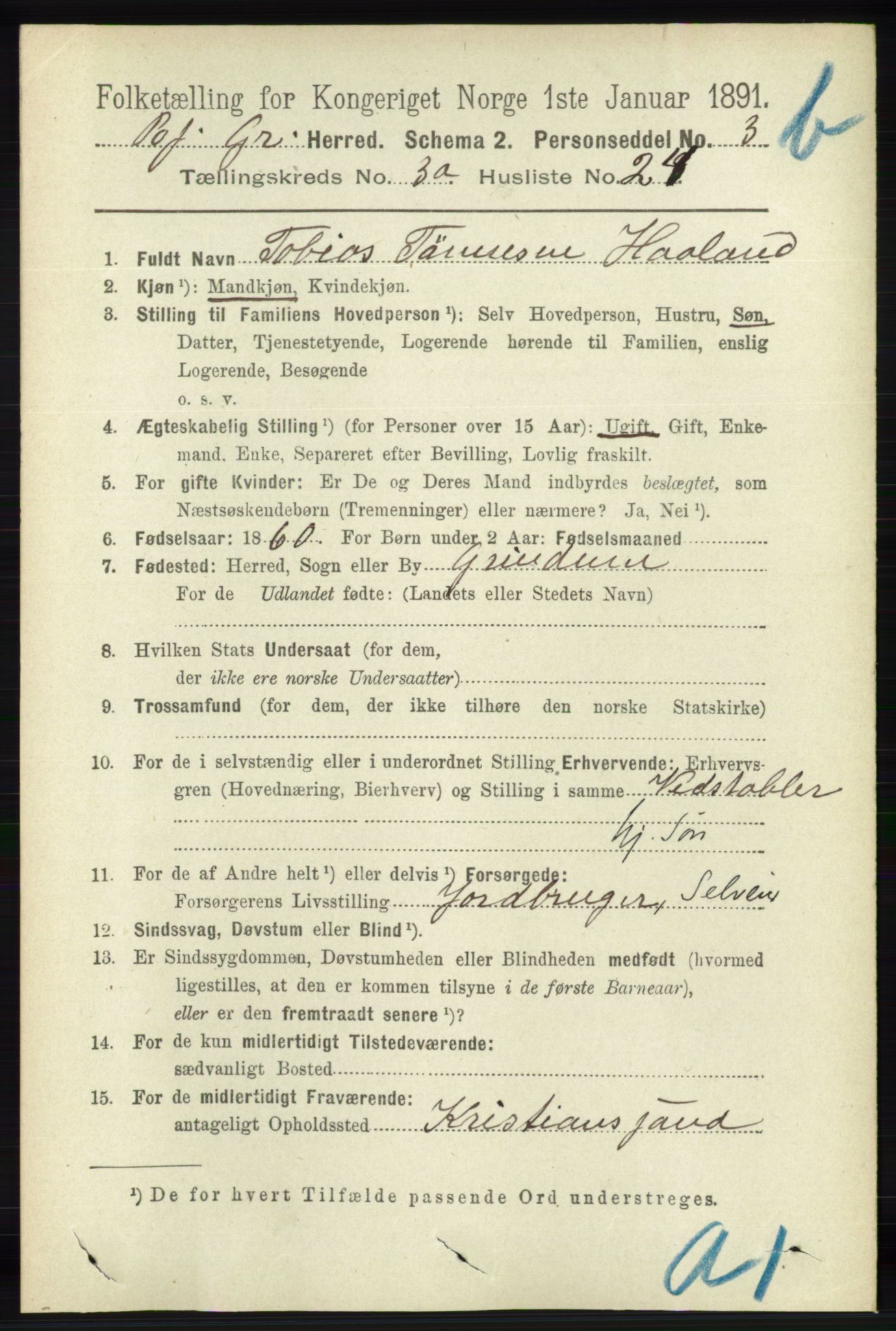 RA, 1891 census for 1024 Bjelland og Grindheim, 1891, p. 1919