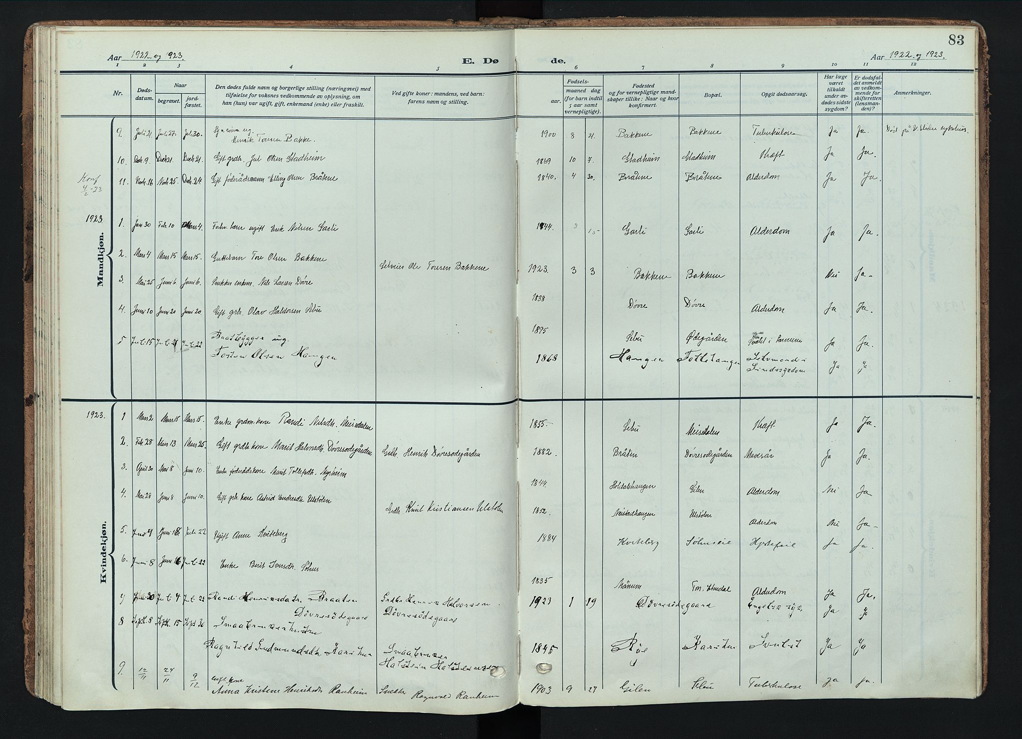 Nord-Aurdal prestekontor, AV/SAH-PREST-132/H/Ha/Haa/L0018: Parish register (official) no. 18, 1915-1935, p. 83