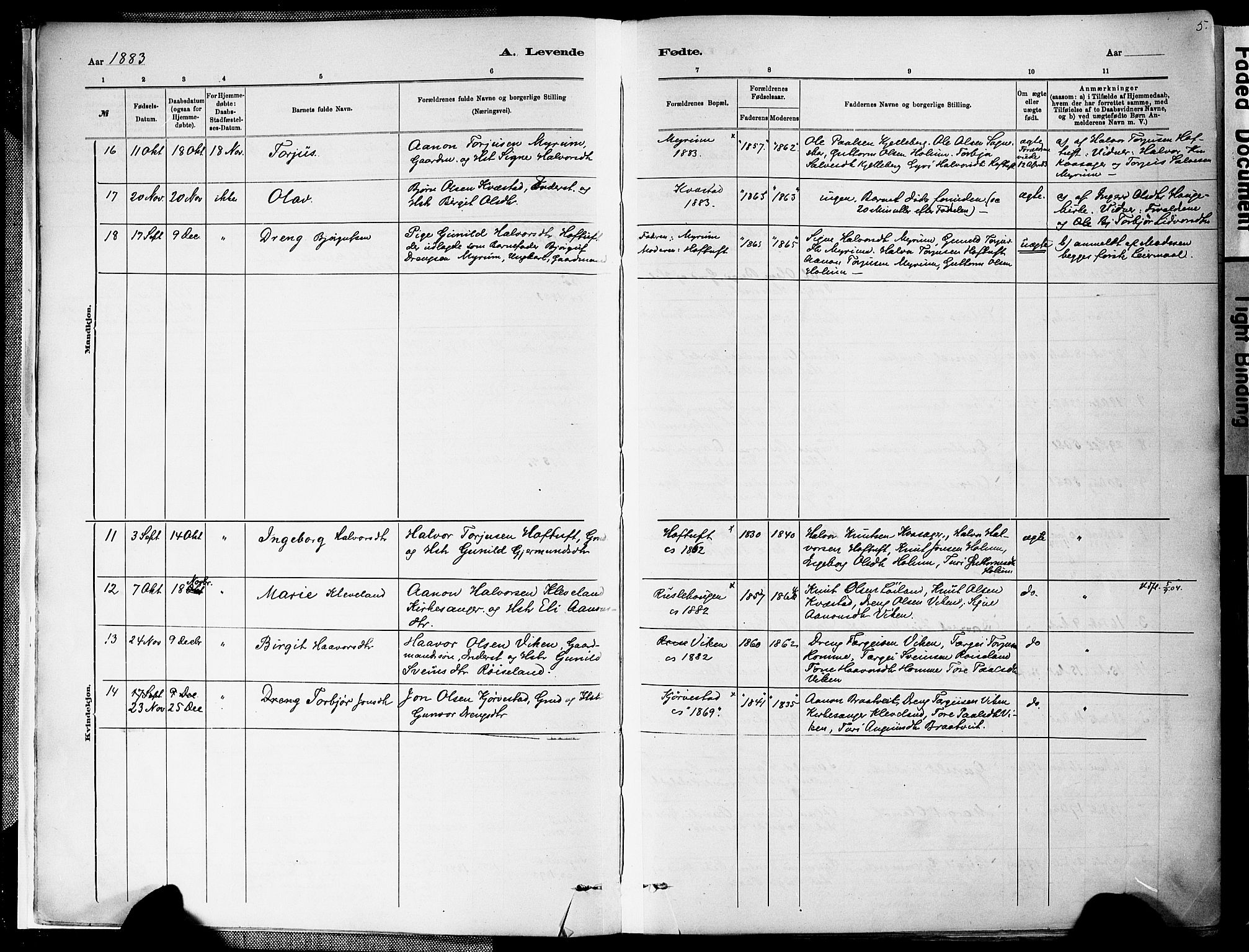 Valle sokneprestkontor, SAK/1111-0044/F/Fa/Fac/L0009: Parish register (official) no. A 9, 1882-1913, p. 5