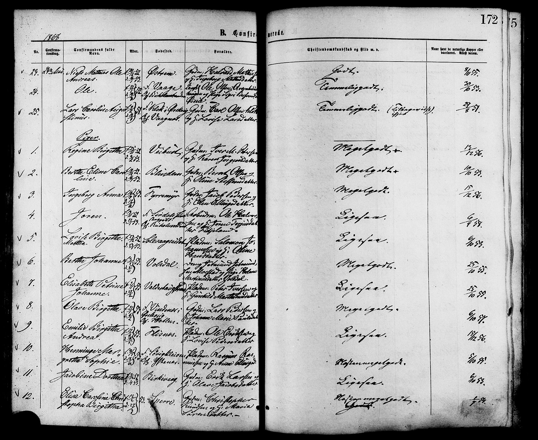 Ministerialprotokoller, klokkerbøker og fødselsregistre - Møre og Romsdal, AV/SAT-A-1454/528/L0399: Parish register (official) no. 528A10, 1864-1879, p. 172