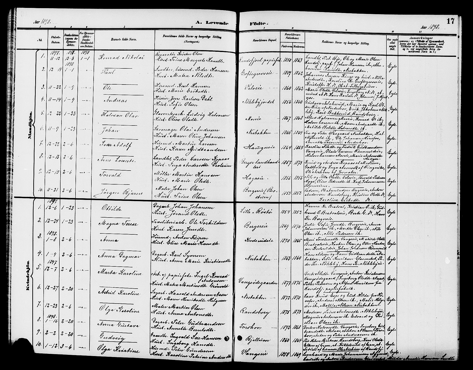 Jevnaker prestekontor, SAH/PREST-116/H/Ha/Hab/L0002: Parish register (copy) no. 2, 1896-1906, p. 17