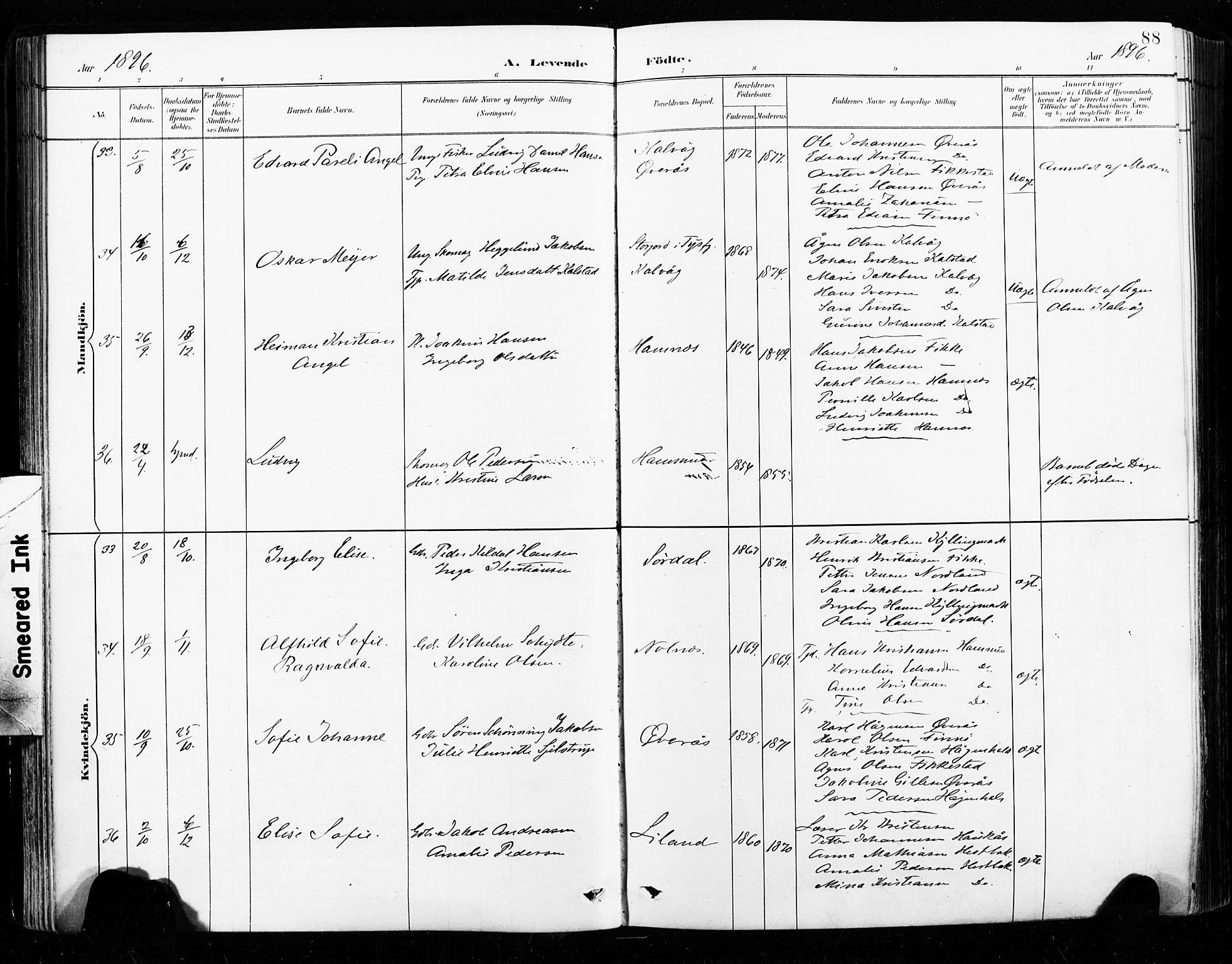 Ministerialprotokoller, klokkerbøker og fødselsregistre - Nordland, AV/SAT-A-1459/859/L0847: Parish register (official) no. 859A07, 1890-1899, p. 88