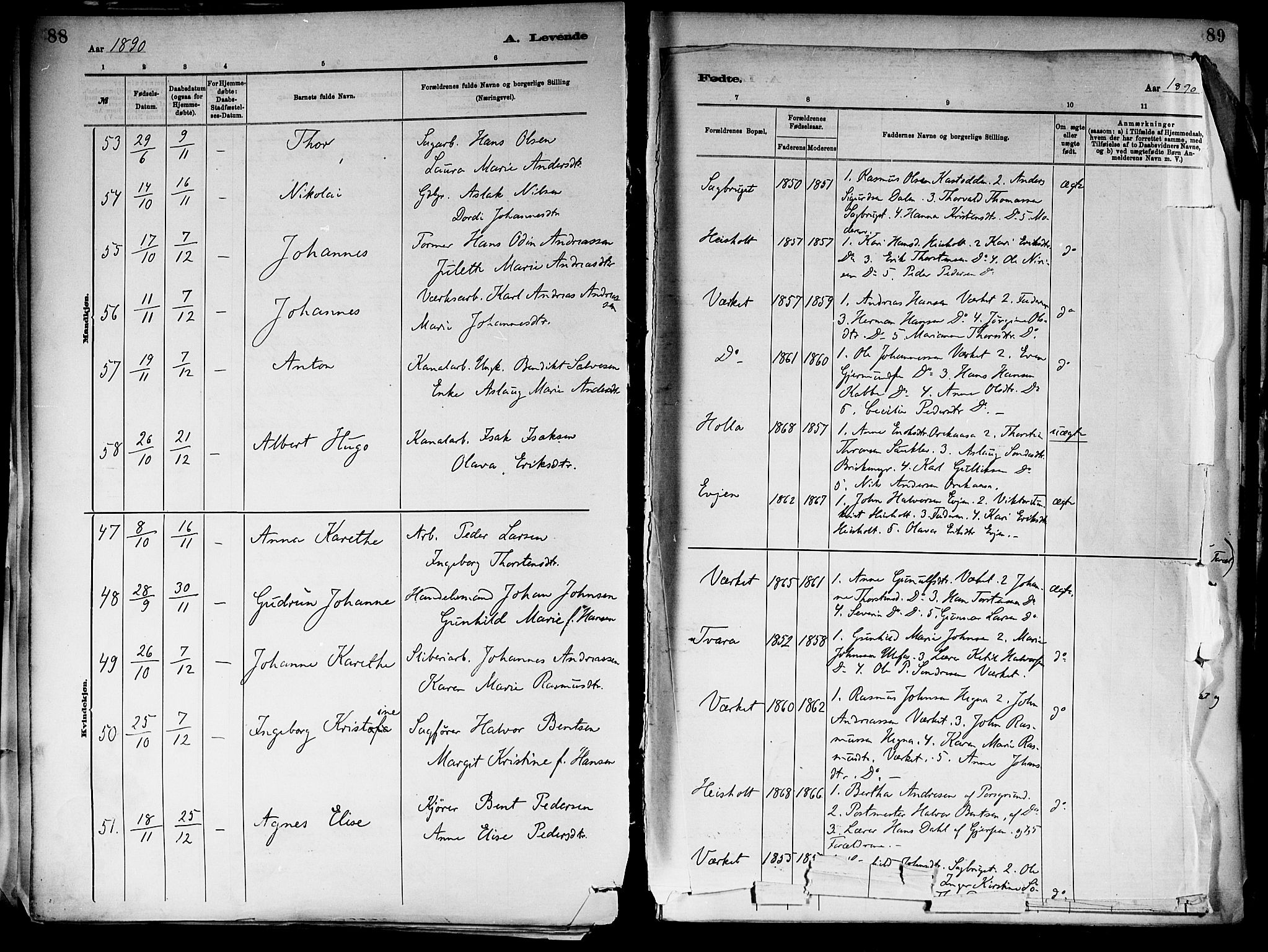 Holla kirkebøker, AV/SAKO-A-272/F/Fa/L0008: Parish register (official) no. 8, 1882-1897, p. 88