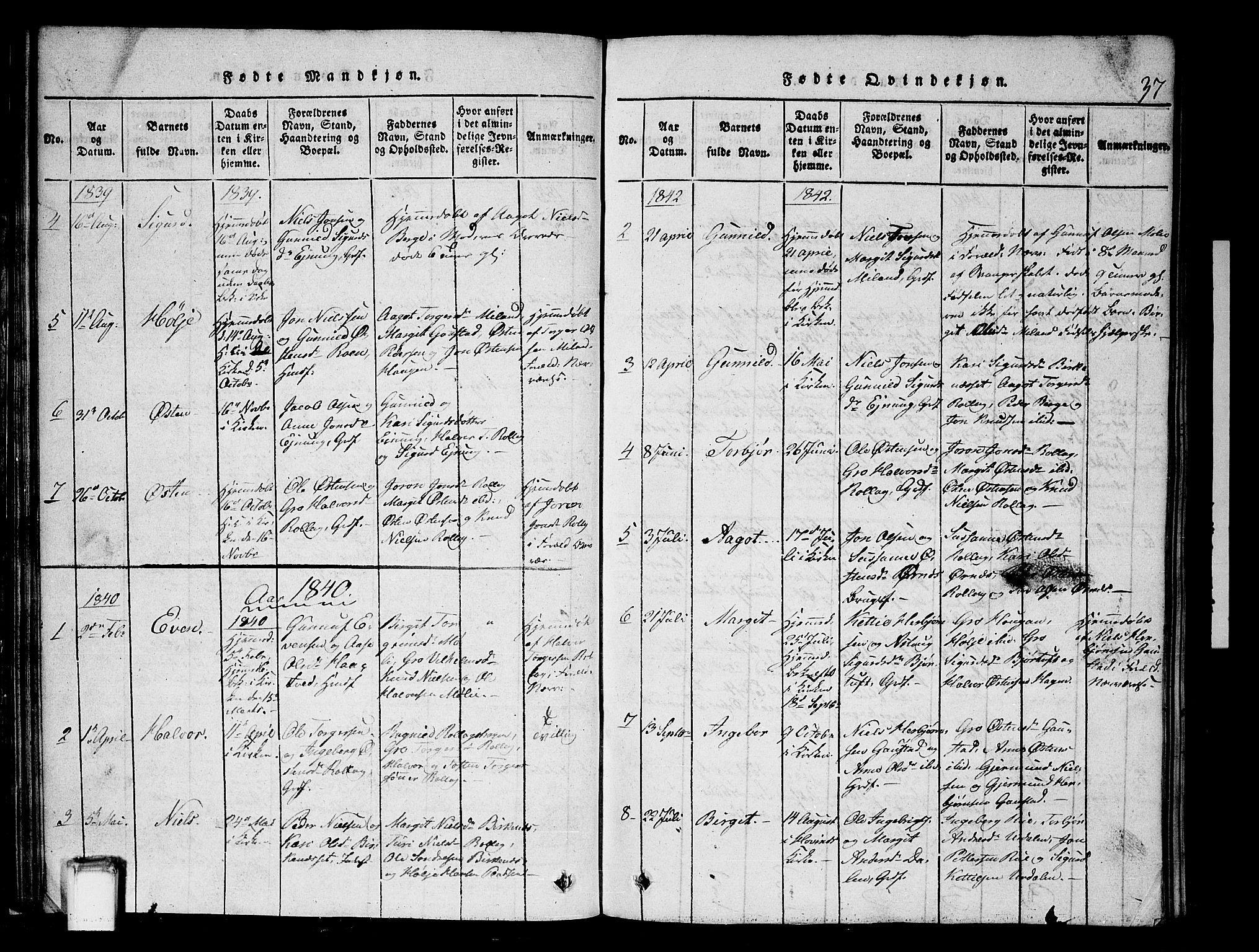 Tinn kirkebøker, AV/SAKO-A-308/G/Gb/L0001: Parish register (copy) no. II 1 /1, 1815-1850, p. 37