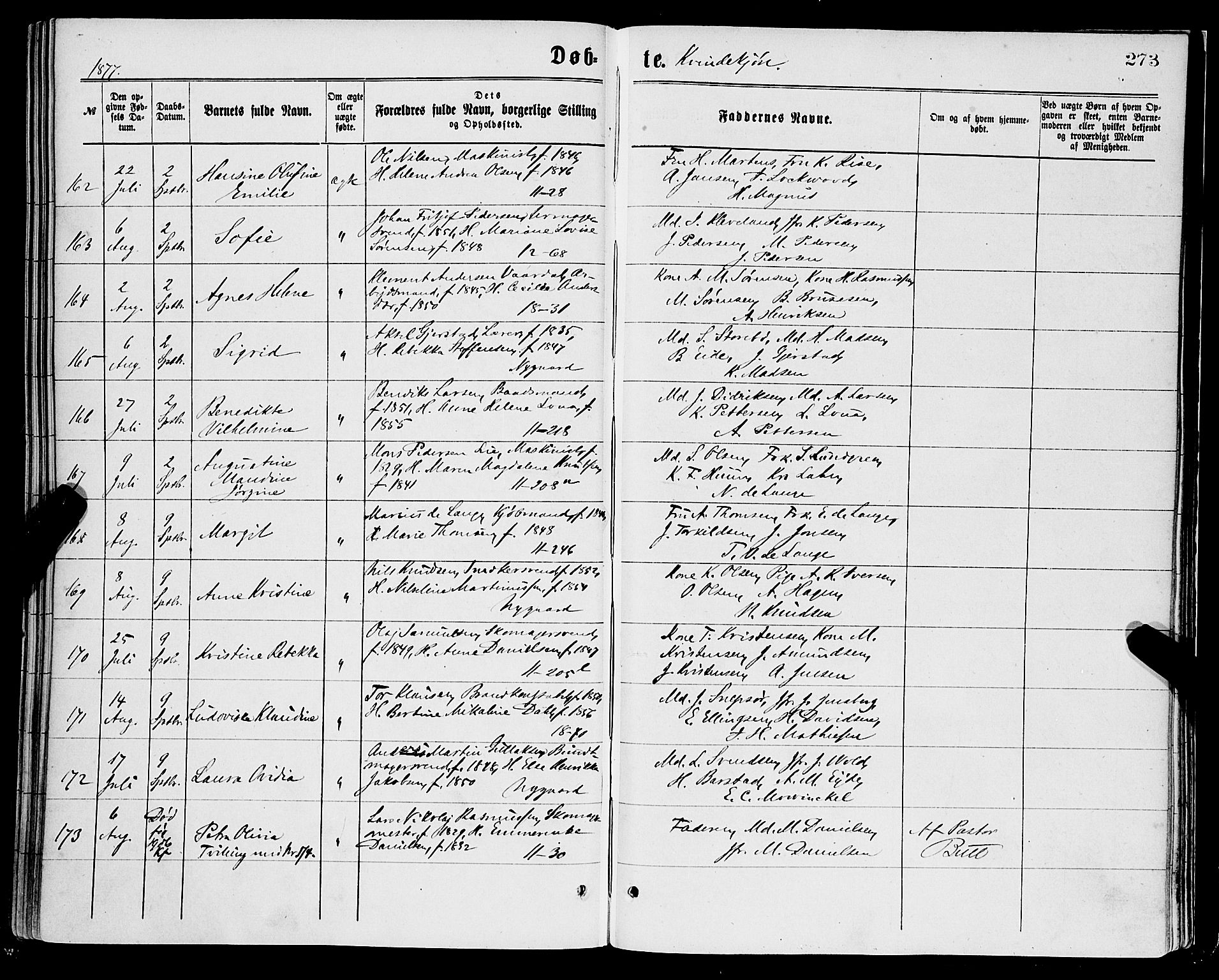 Domkirken sokneprestembete, SAB/A-74801/H/Haa/L0022: Parish register (official) no. B 5, 1872-1878, p. 273