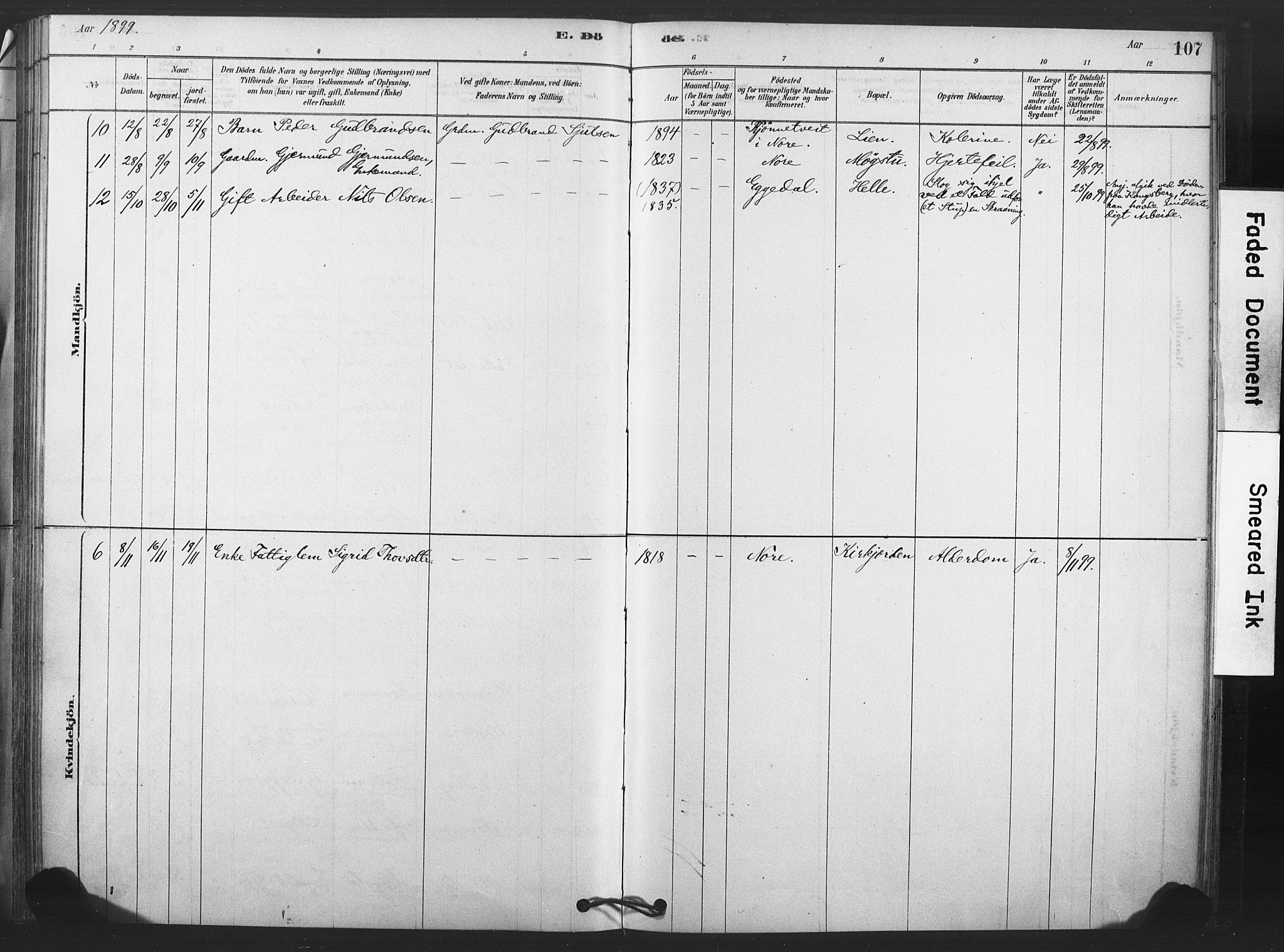 Rollag kirkebøker, AV/SAKO-A-240/F/Fb/L0001: Parish register (official) no. II 1, 1878-1899, p. 107