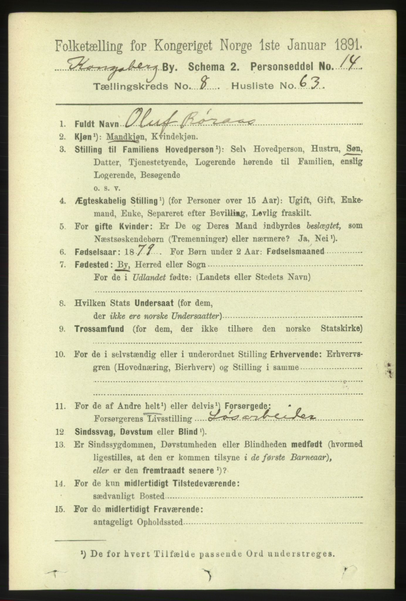 RA, 1891 census for 0604 Kongsberg, 1891, p. 6038