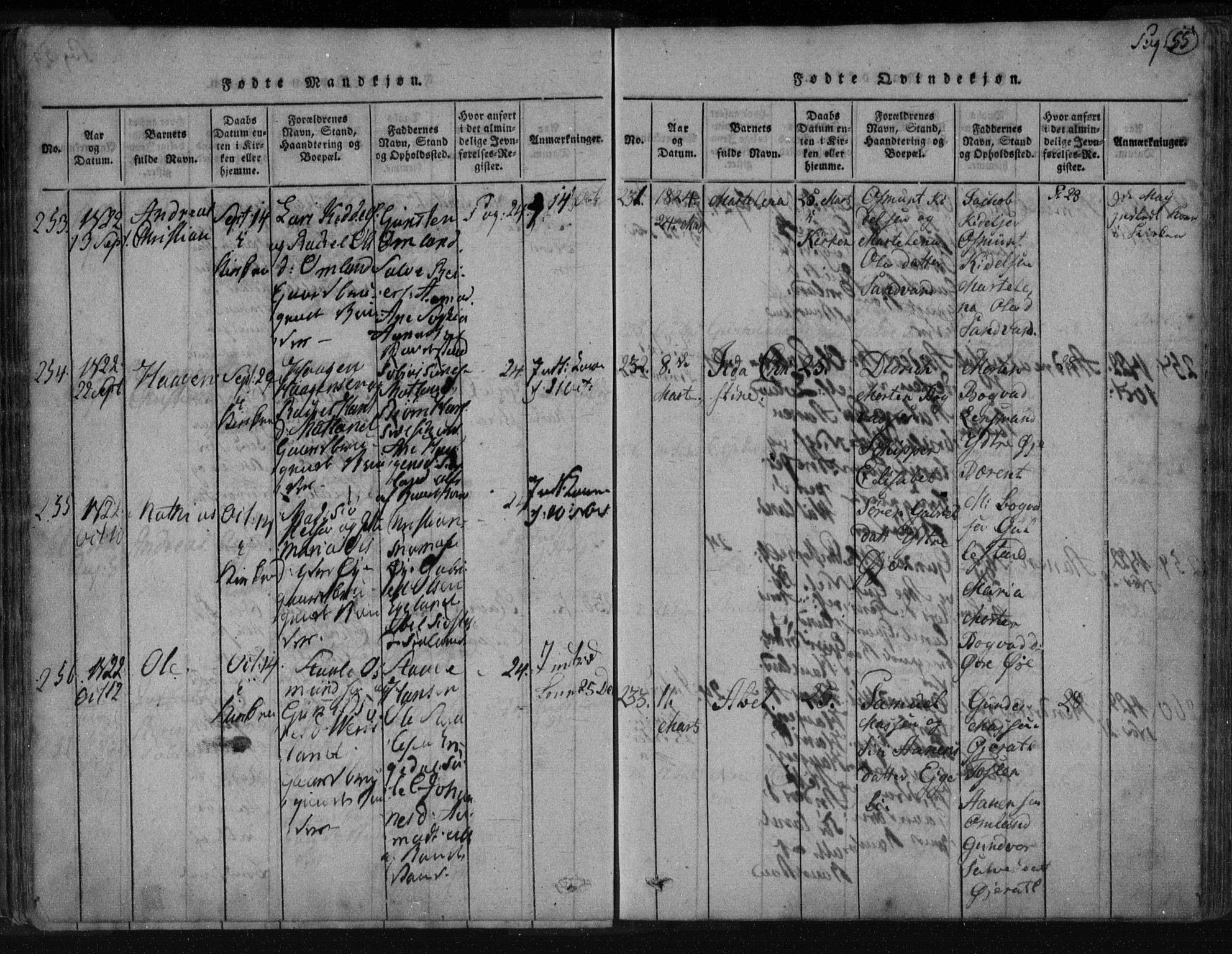 Kvinesdal sokneprestkontor, AV/SAK-1111-0026/F/Fa/Fab/L0003: Parish register (official) no. A 3, 1815-1829, p. 55