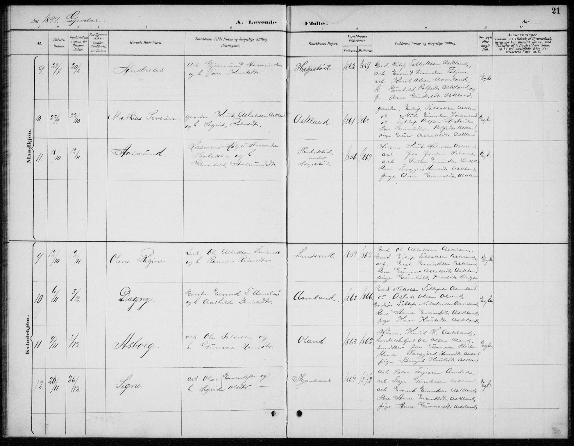 Åmli sokneprestkontor, AV/SAK-1111-0050/F/Fb/Fba/L0002: Parish register (copy) no. B 2, 1890-1912, p. 21