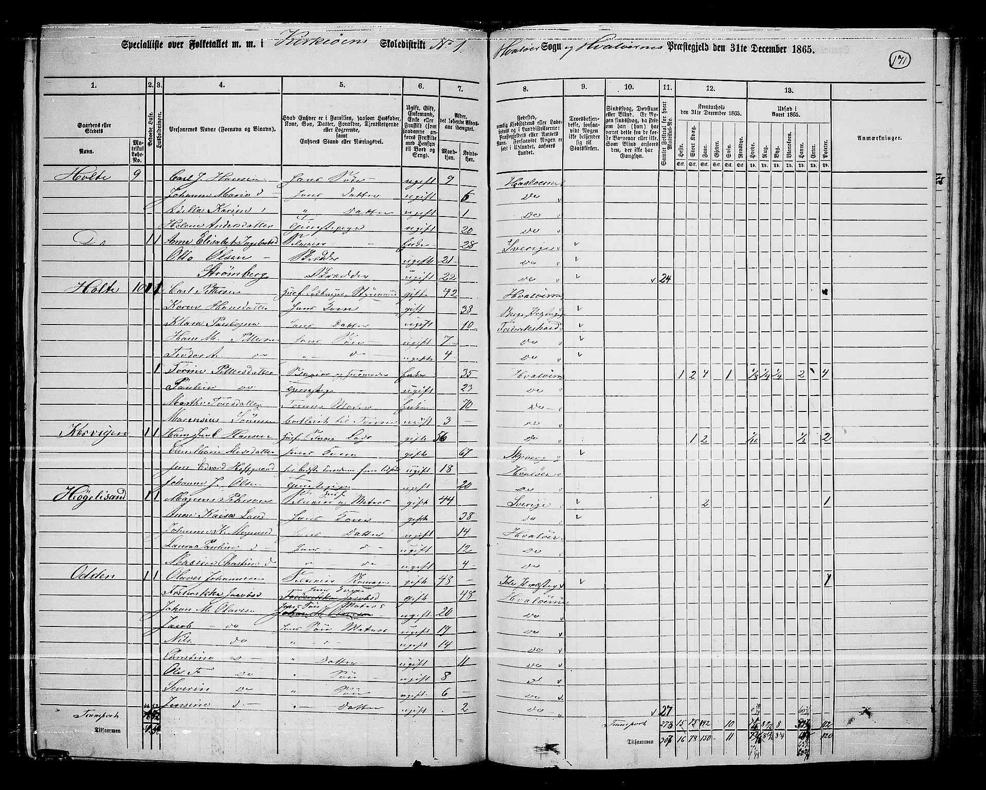 RA, 1865 census for Hvaler, 1865, p. 14