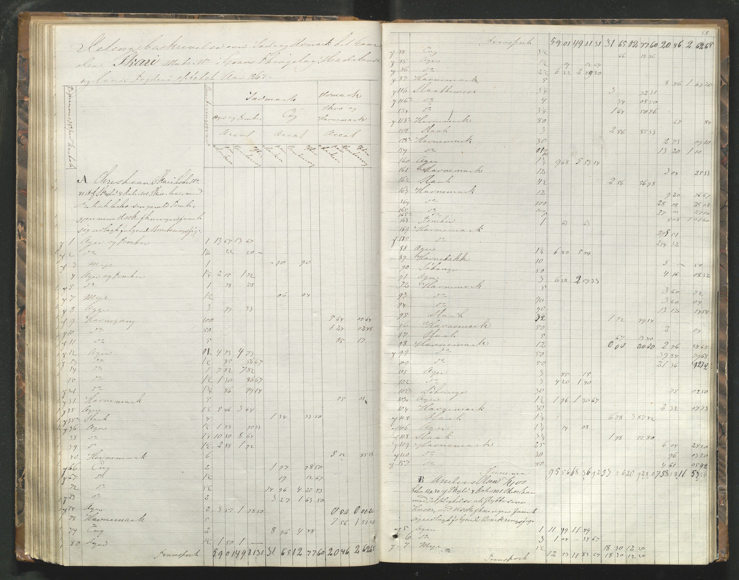 Utskiftningsformannen i Oppland fylke, AV/SAH-JORDSKIFTEO-001/H/Hf/Hfg/L0001: Forhandlingsprotokoll - Toten og Hadeland, 1865-1868, p. 58