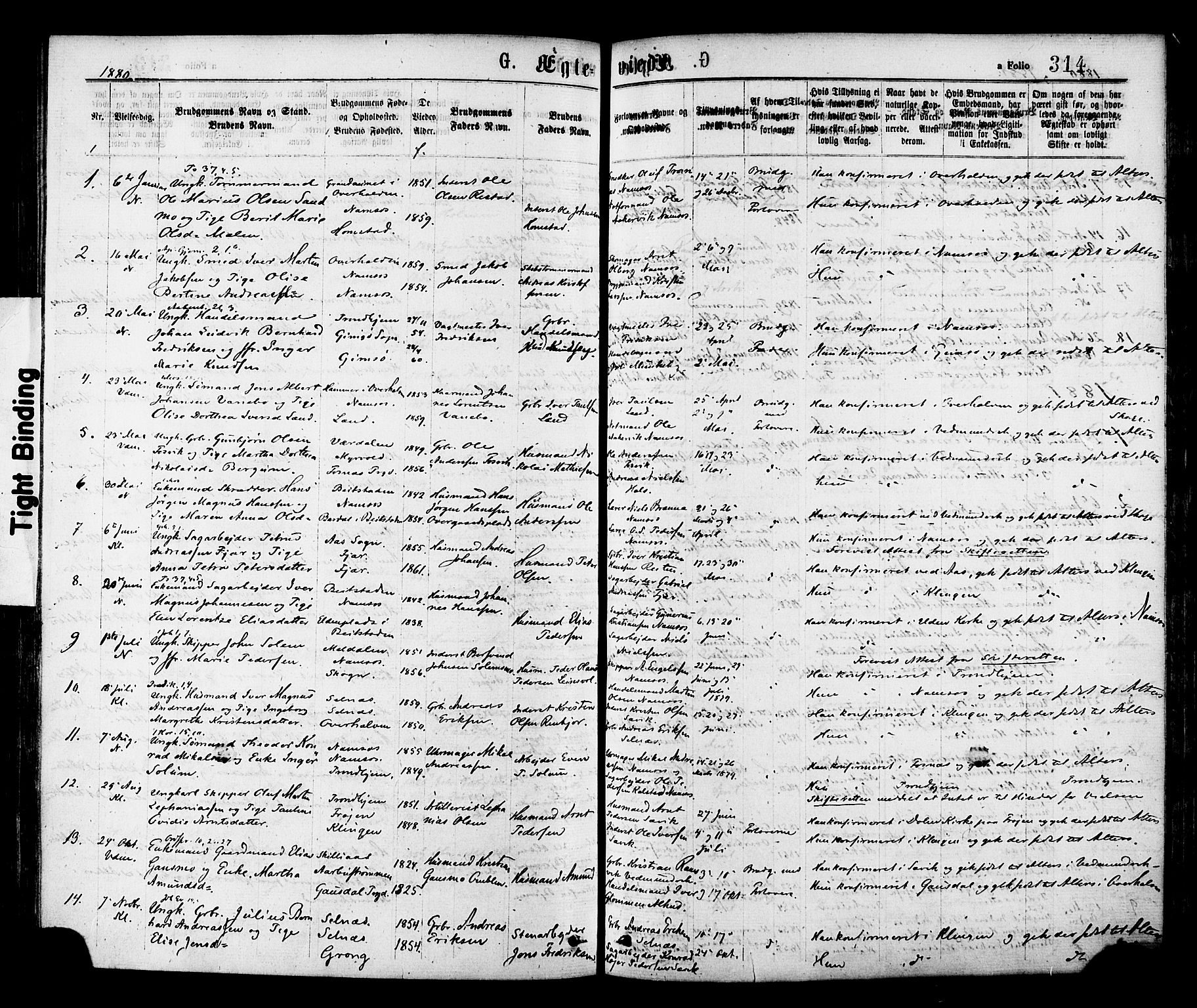 Ministerialprotokoller, klokkerbøker og fødselsregistre - Nord-Trøndelag, SAT/A-1458/768/L0572: Parish register (official) no. 768A07, 1874-1886, p. 314