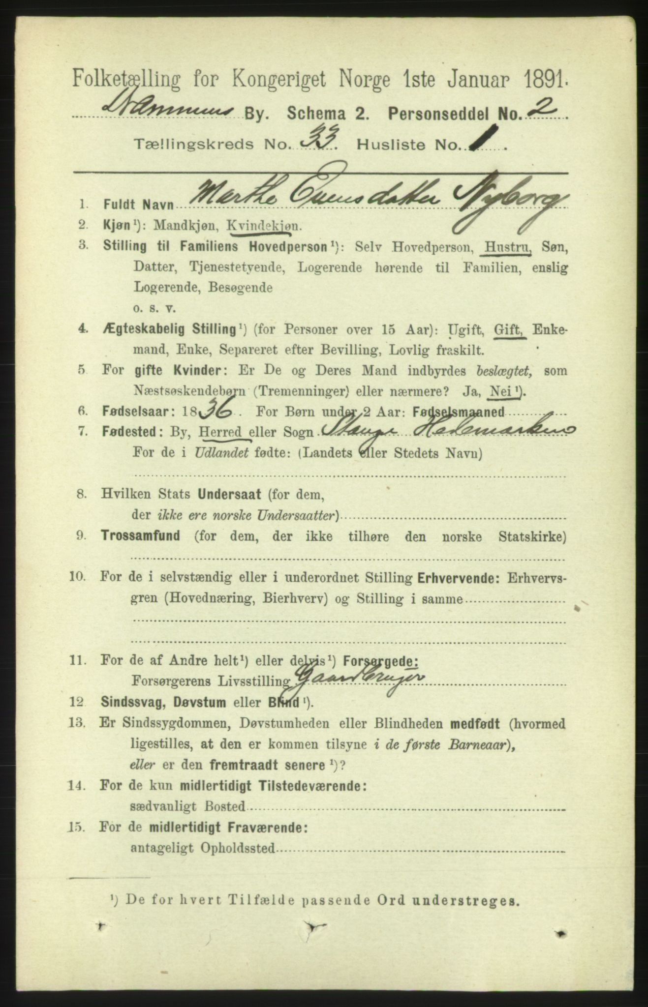 RA, 1891 census for 0602 Drammen, 1891, p. 20083