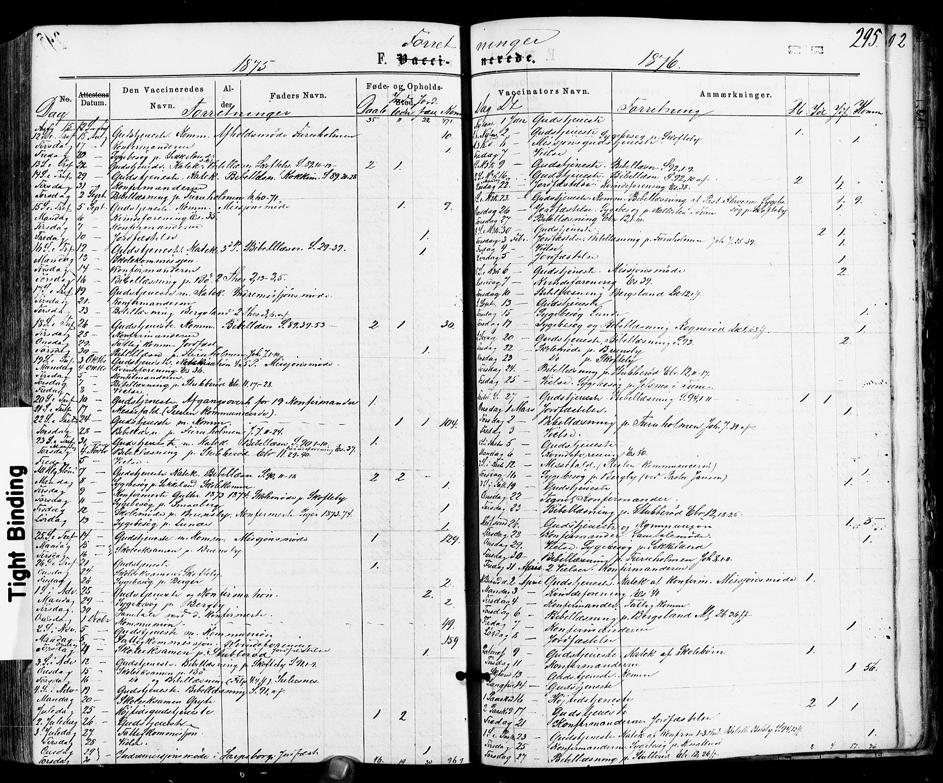 Varteig prestekontor Kirkebøker, SAO/A-10447a/F/Fa/L0001: Parish register (official) no. 1, 1861-1877, p. 295