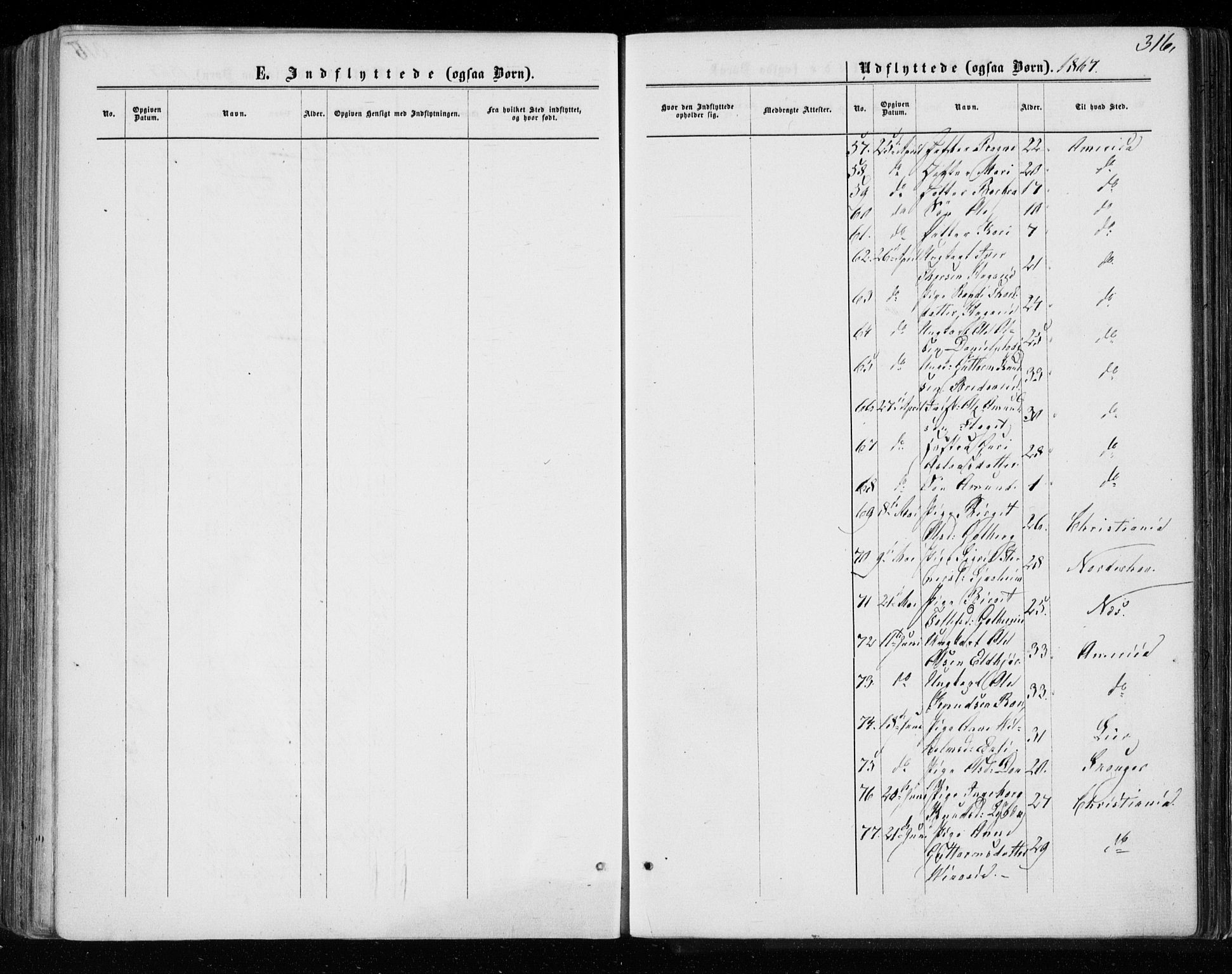 Gol kirkebøker, AV/SAKO-A-226/F/Fa/L0003: Parish register (official) no. I 3, 1863-1875, p. 316