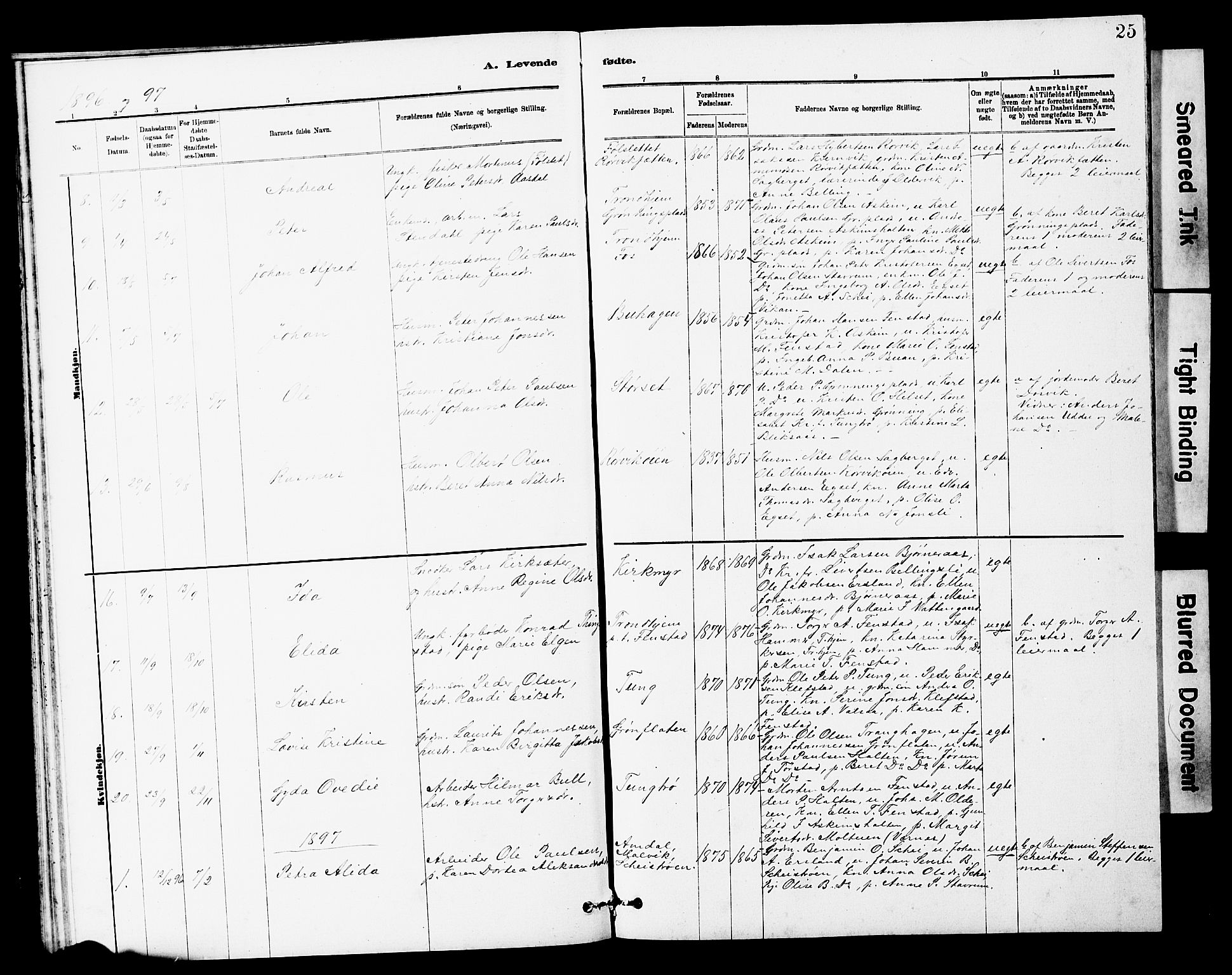 Ministerialprotokoller, klokkerbøker og fødselsregistre - Sør-Trøndelag, SAT/A-1456/646/L0628: Parish register (copy) no. 646C01, 1880-1903, p. 25