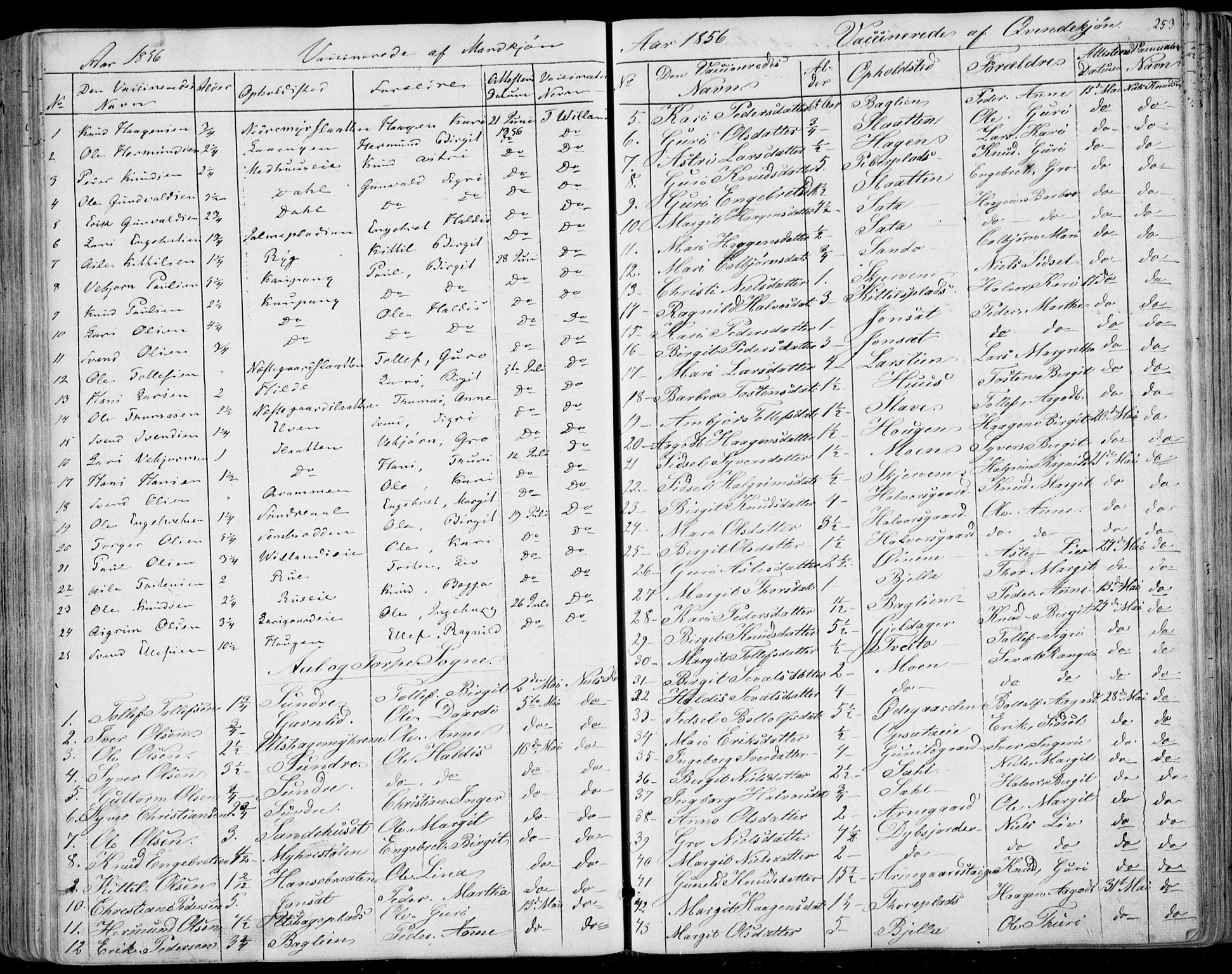 Ål kirkebøker, AV/SAKO-A-249/F/Fa/L0006: Parish register (official) no. I 6, 1849-1864, p. 253